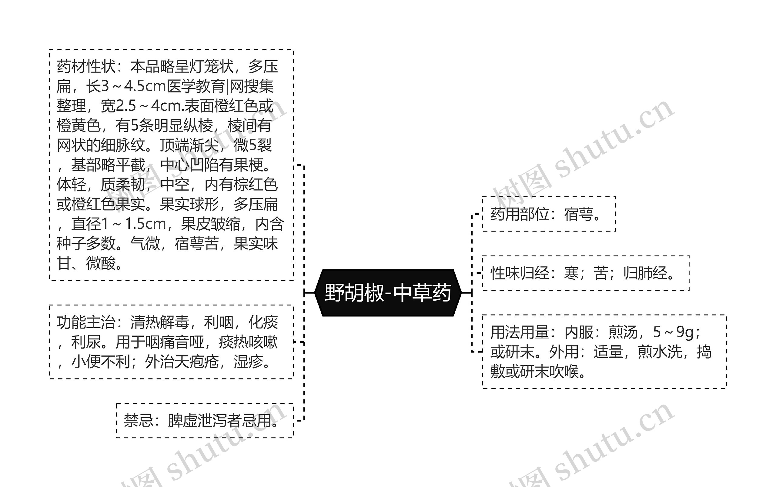 野胡椒-中草药思维导图