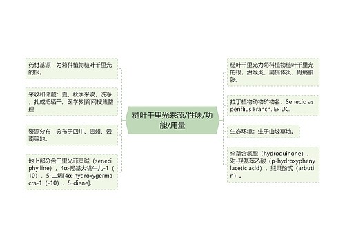 糙叶千里光来源/性味/功能/用量