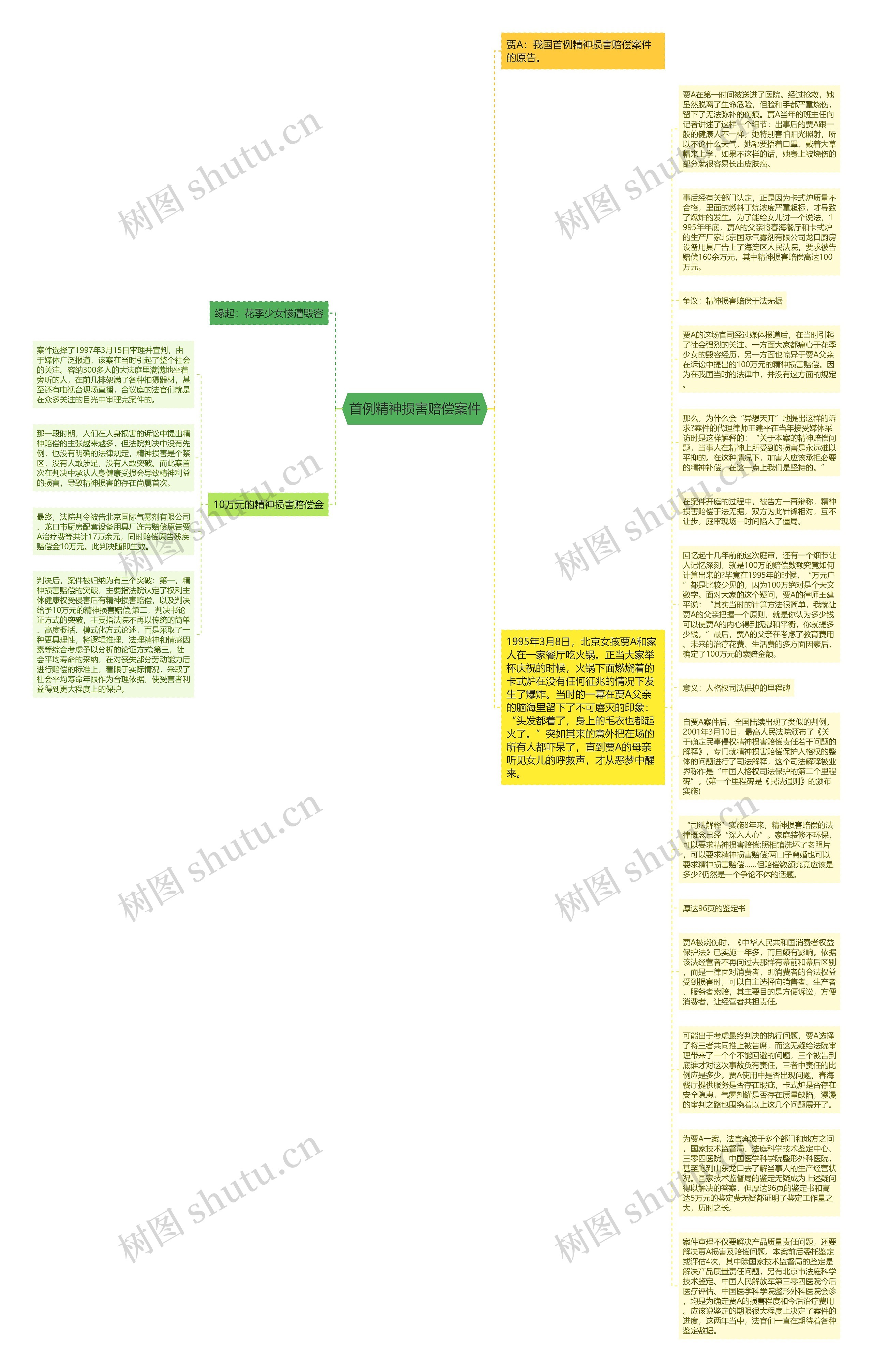 首例精神损害赔偿案件思维导图