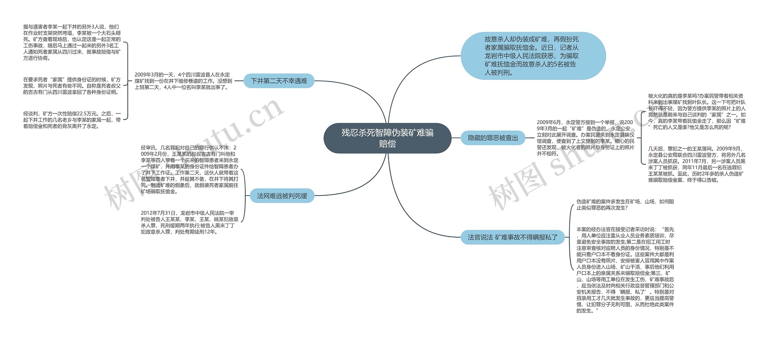 残忍杀死智障伪装矿难骗赔偿思维导图