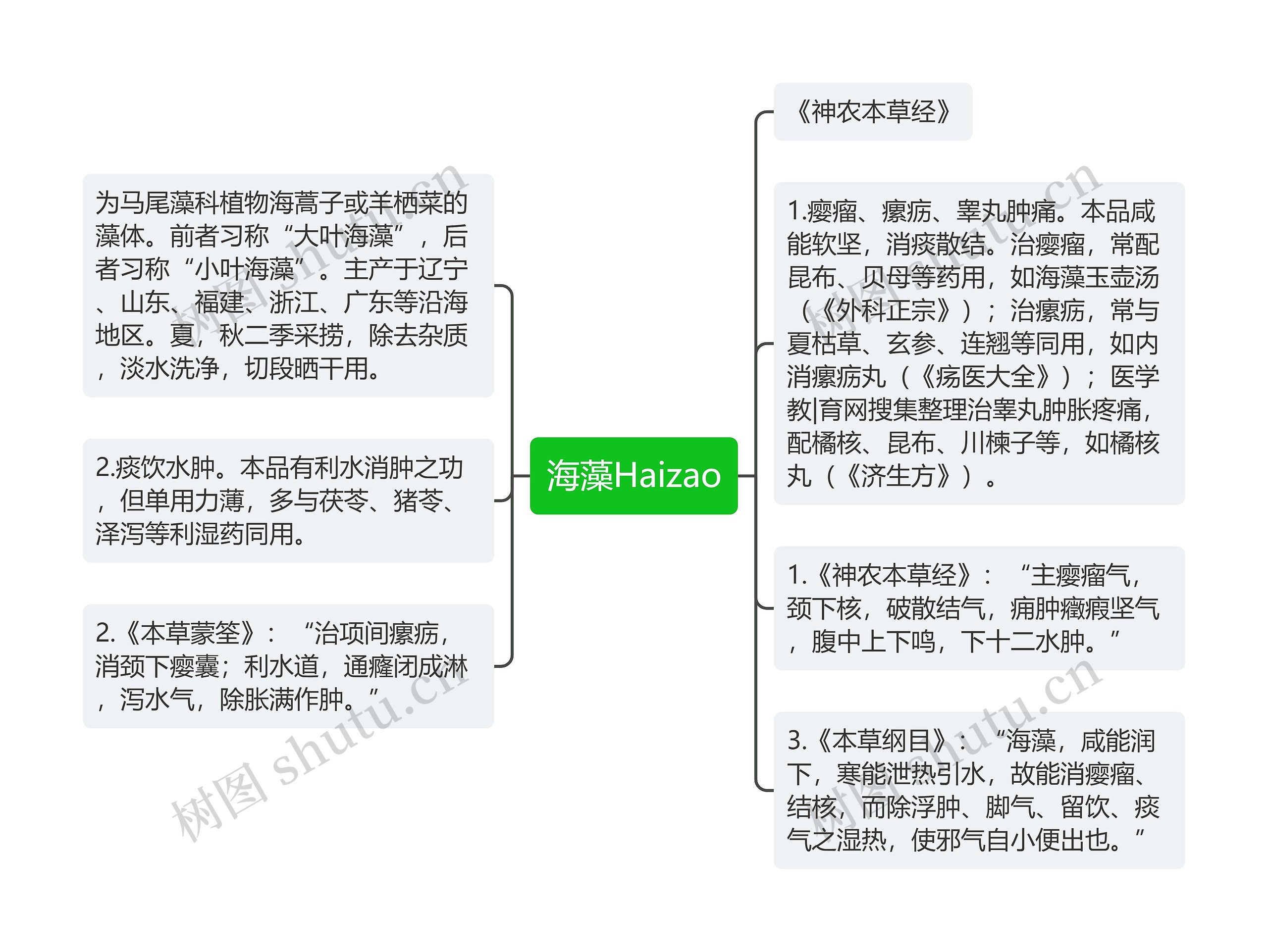 海藻Haizao思维导图