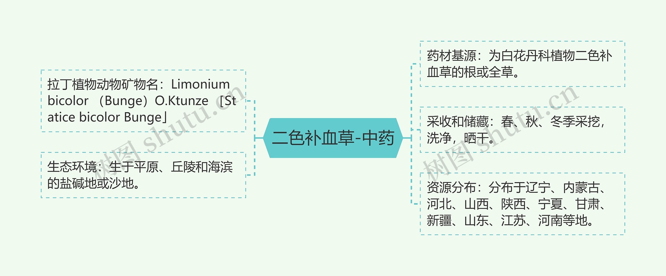 二色补血草-中药思维导图