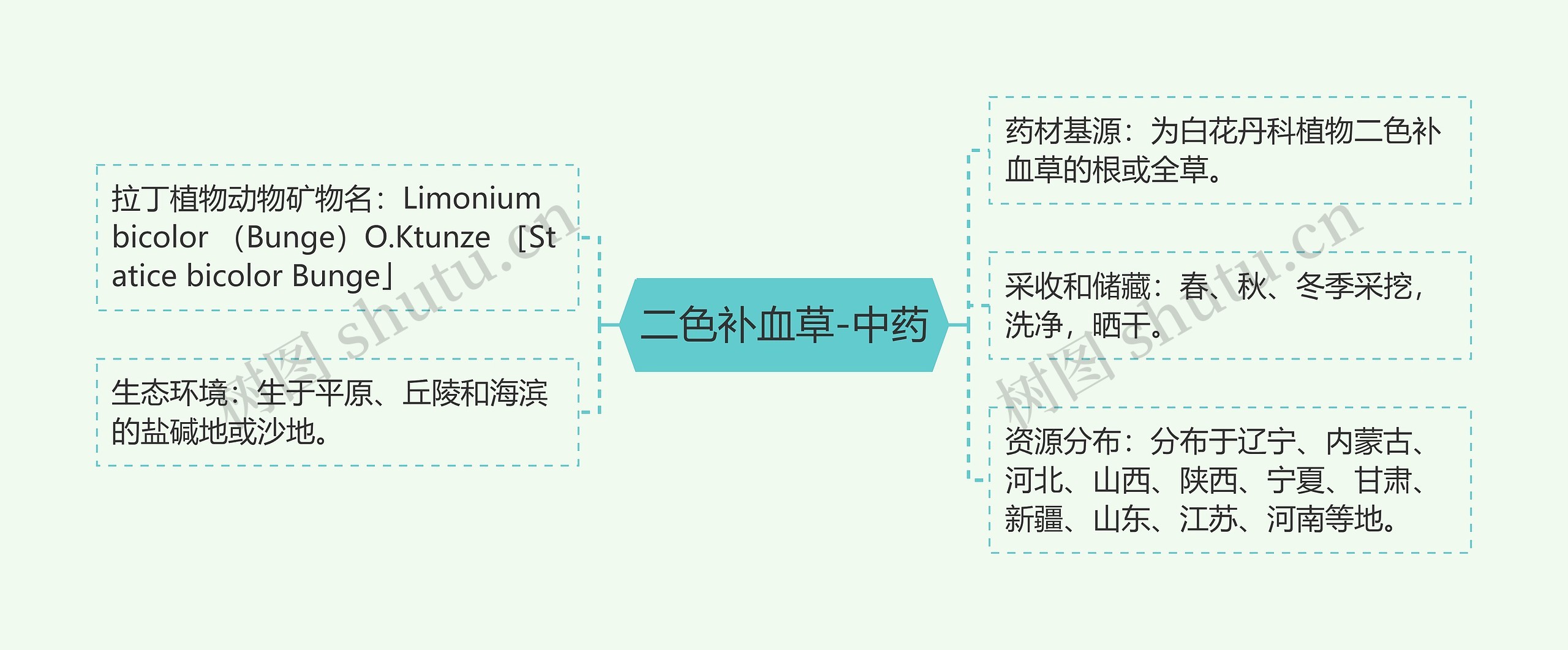 二色补血草-中药 二色补血草-中药