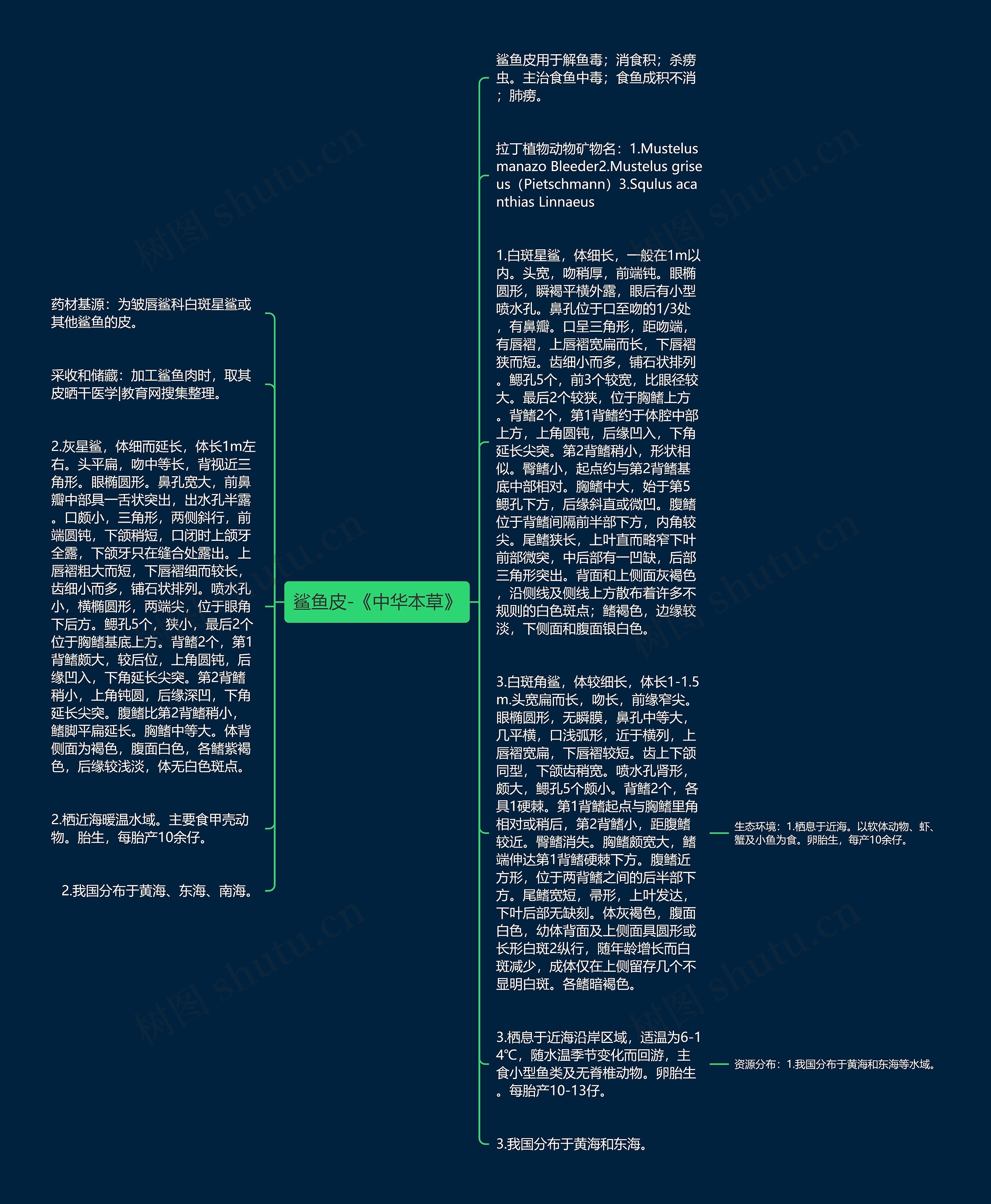 鲨鱼皮-《中华本草》思维导图