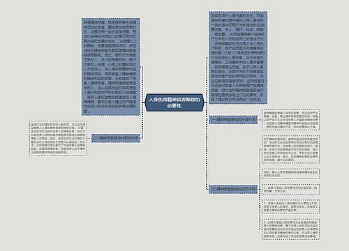 人身伤害精神损害赔偿的必要性