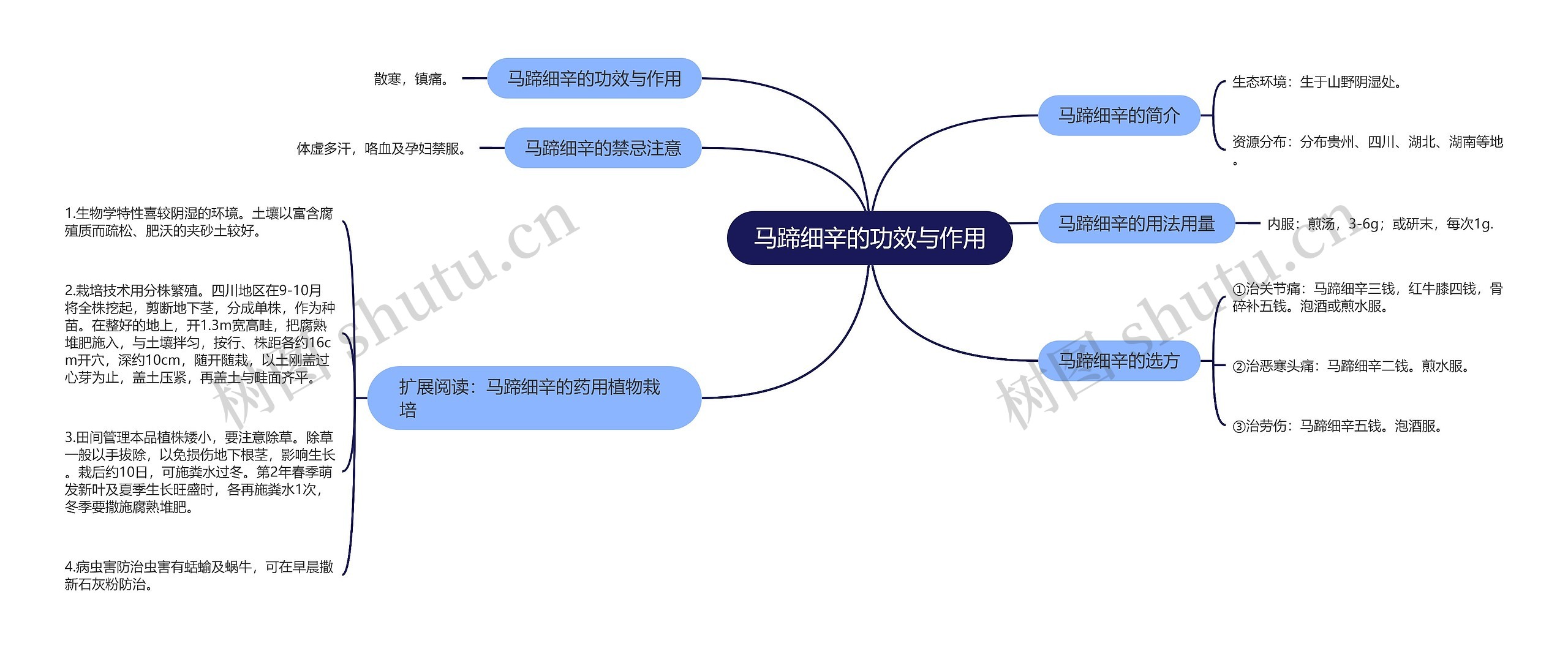 马蹄细辛的功效与作用思维导图