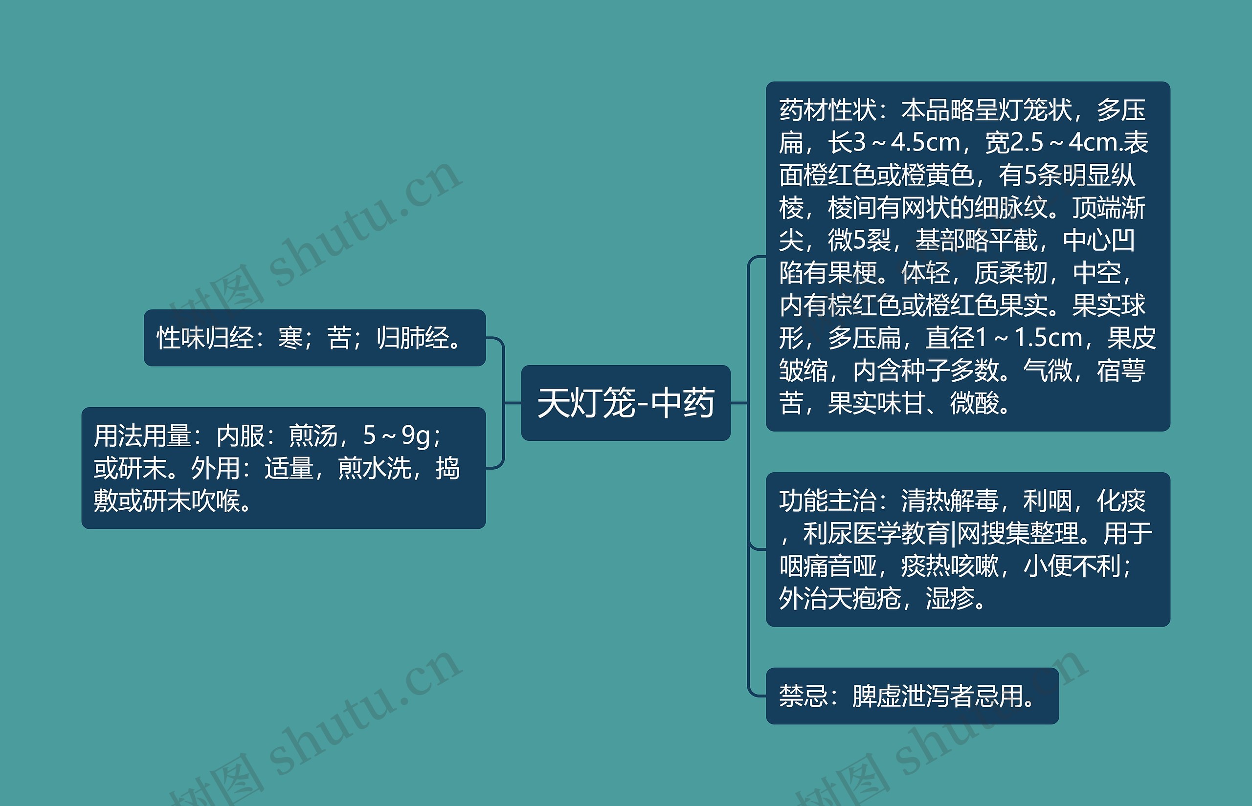 天灯笼-中药思维导图