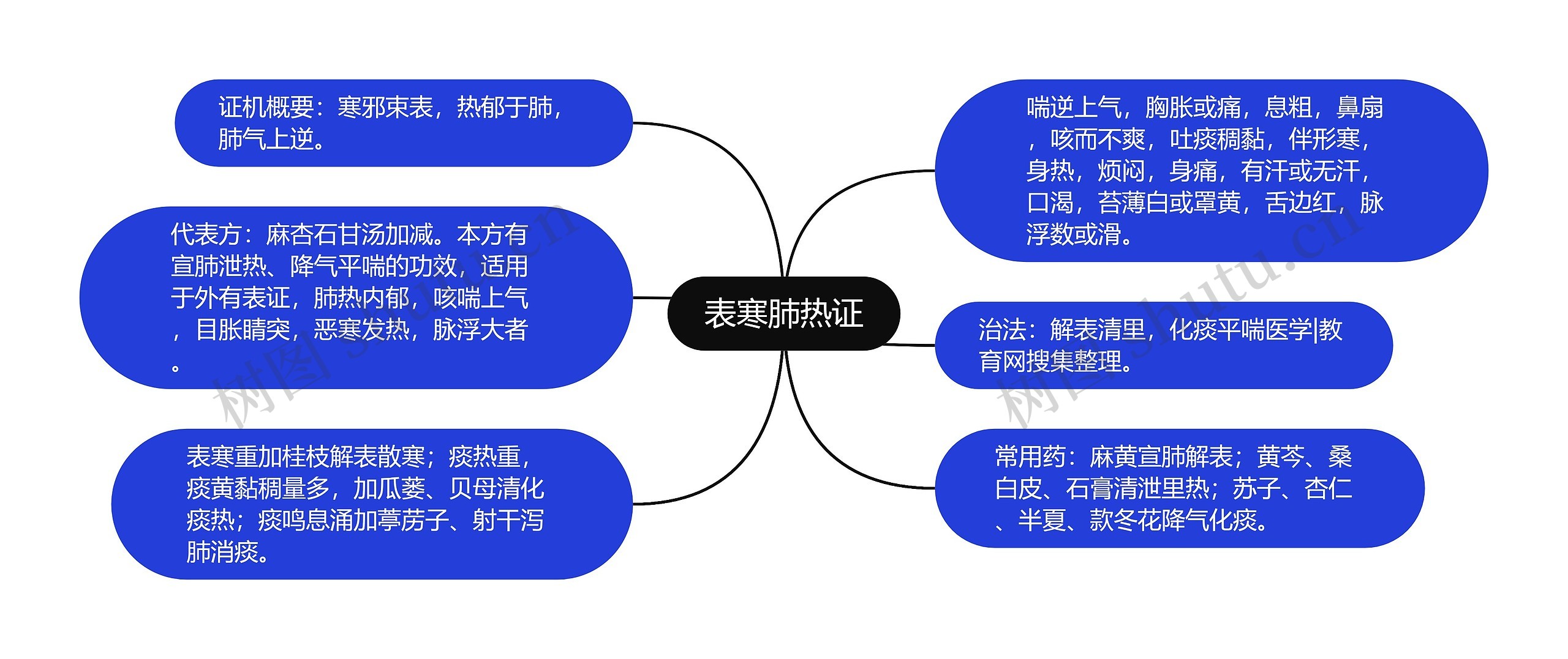 表寒肺热证思维导图