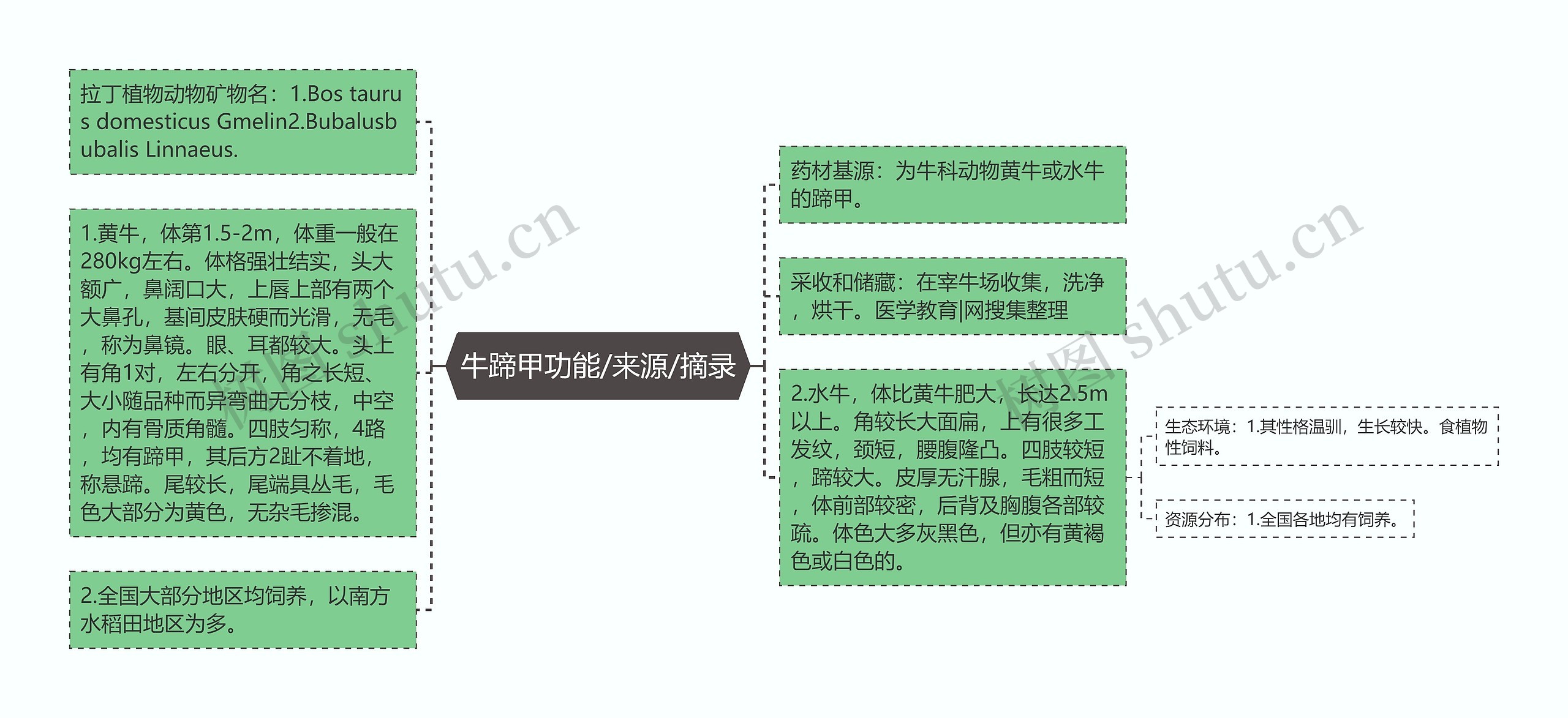 牛蹄甲功能/来源/摘录思维导图