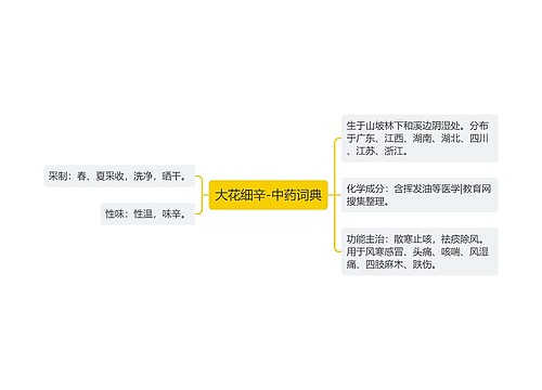 大花细辛-中药词典