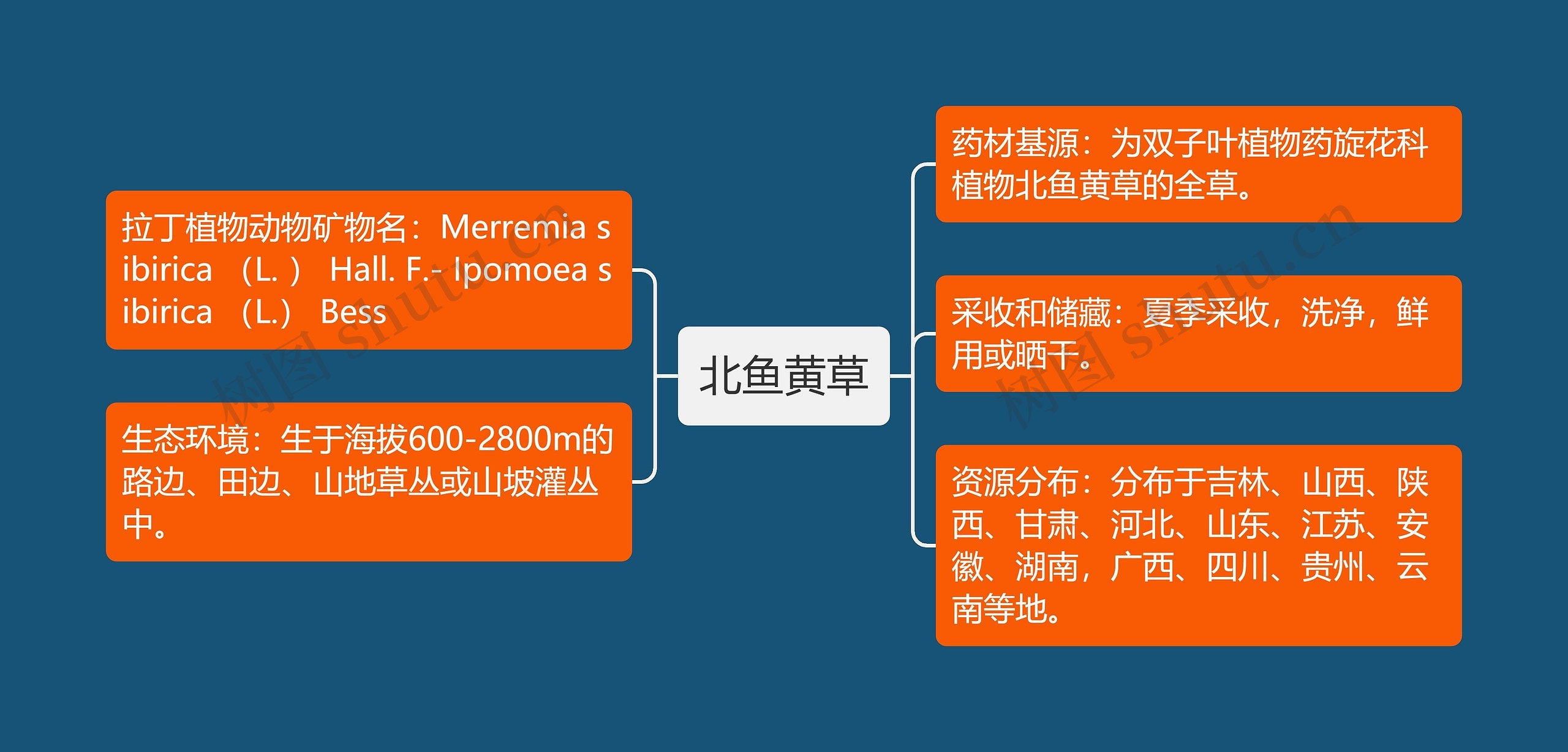 北鱼黄草思维导图