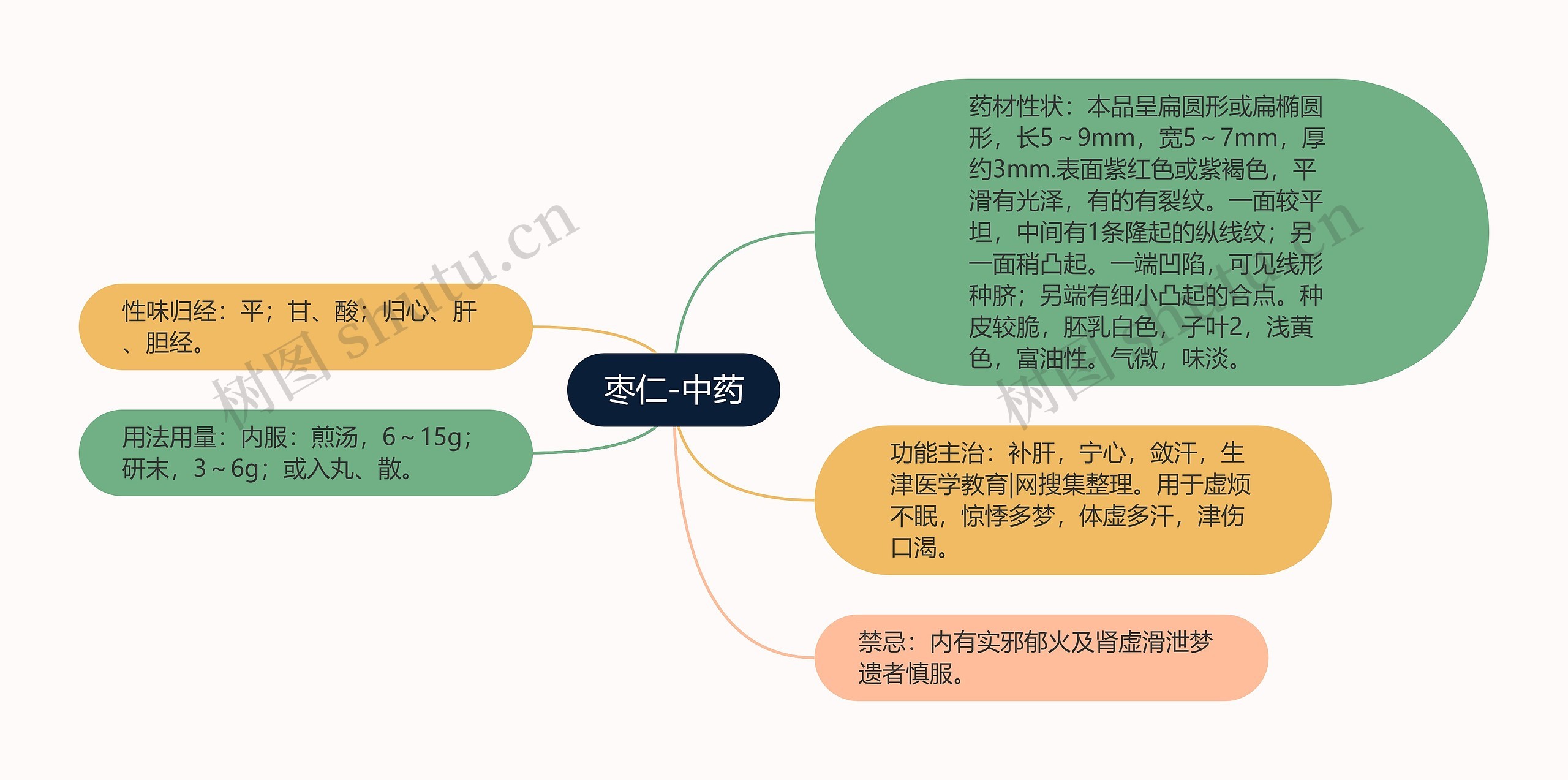 枣仁-中药思维导图