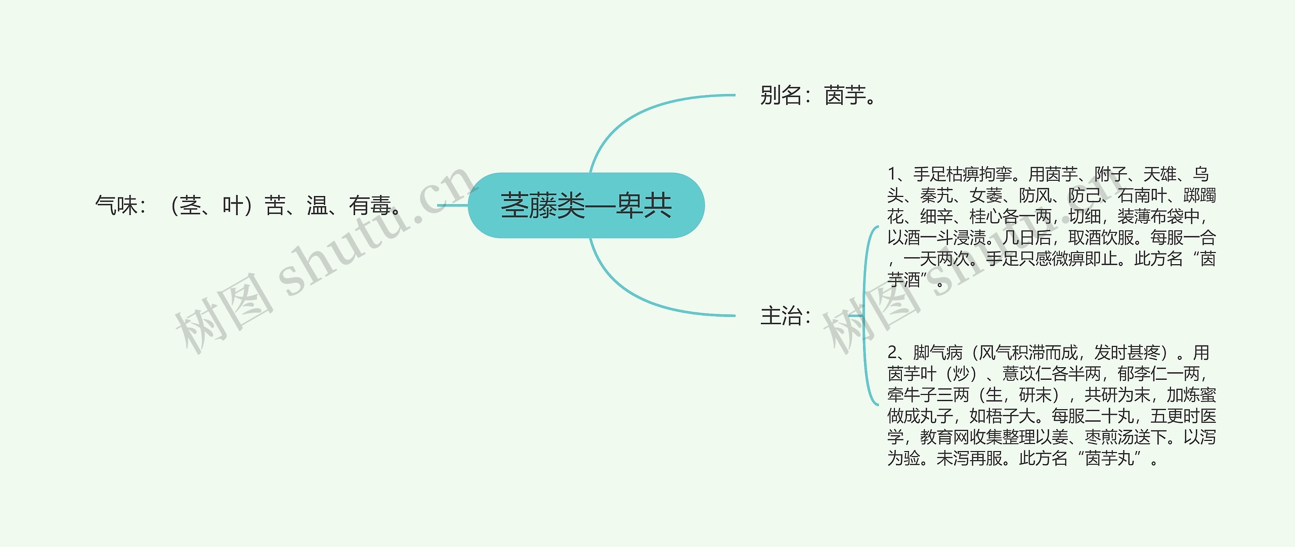 茎藤类—卑共 茎藤类—卑共