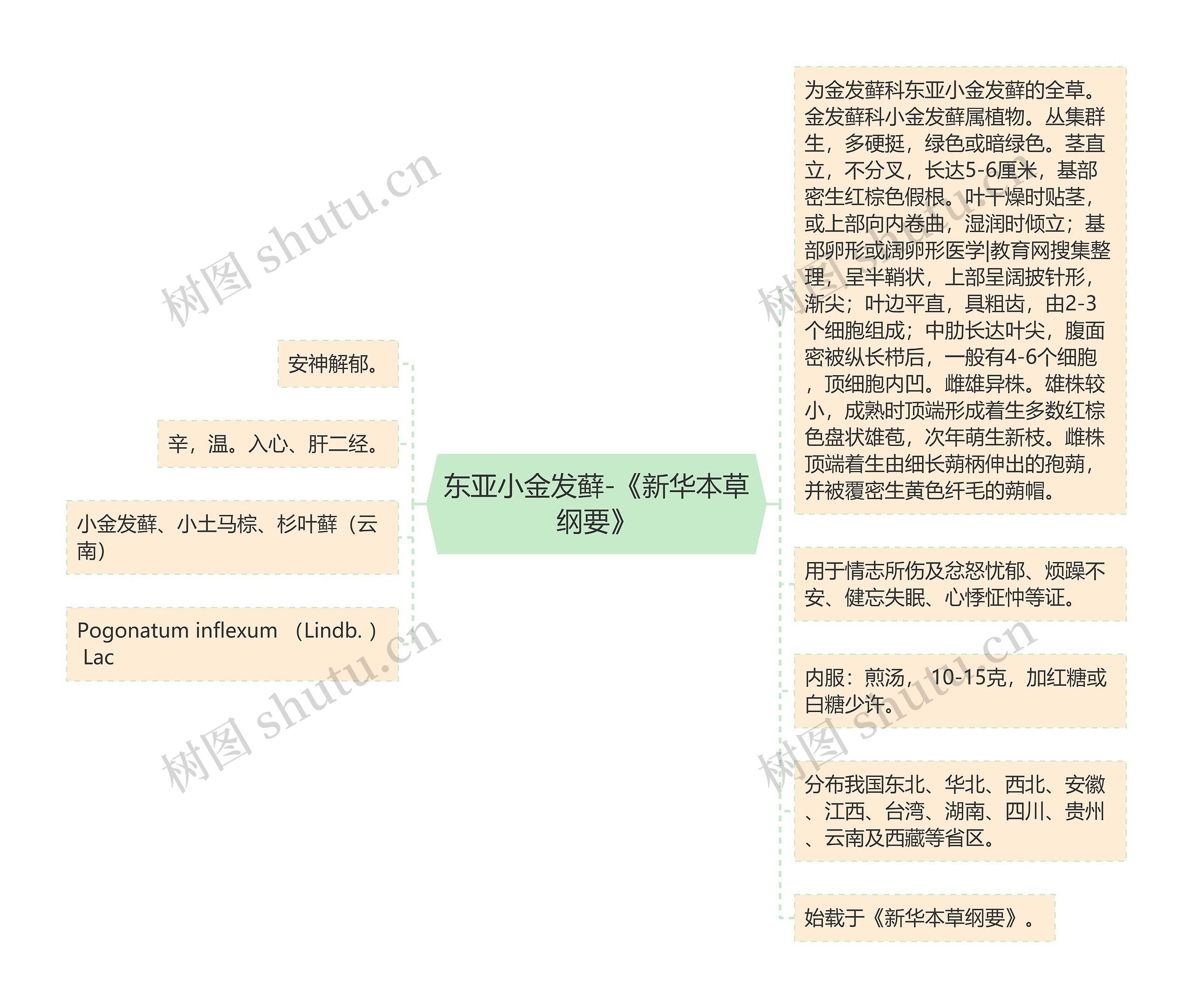 东亚小金发藓-《新华本草纲要》思维导图