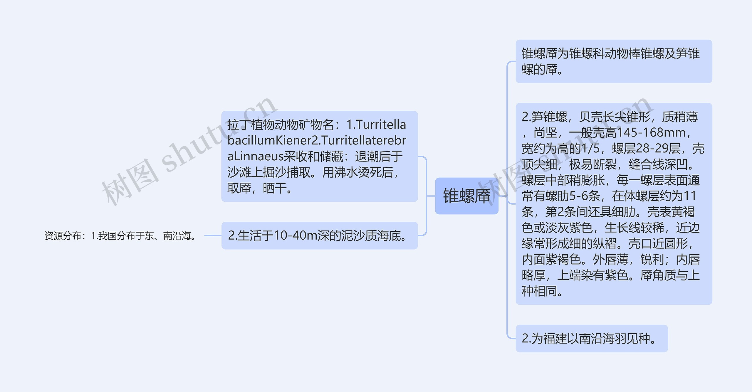 锥螺厣思维导图