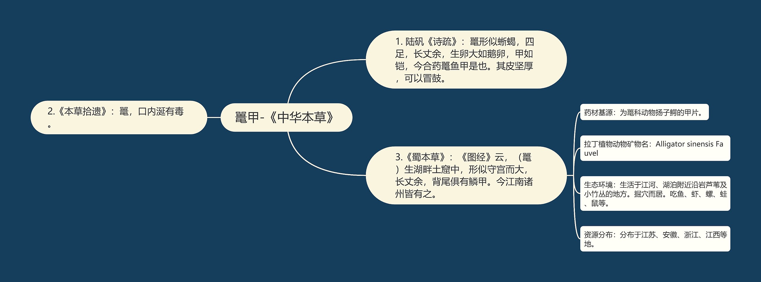 鼍甲-《中华本草》思维导图