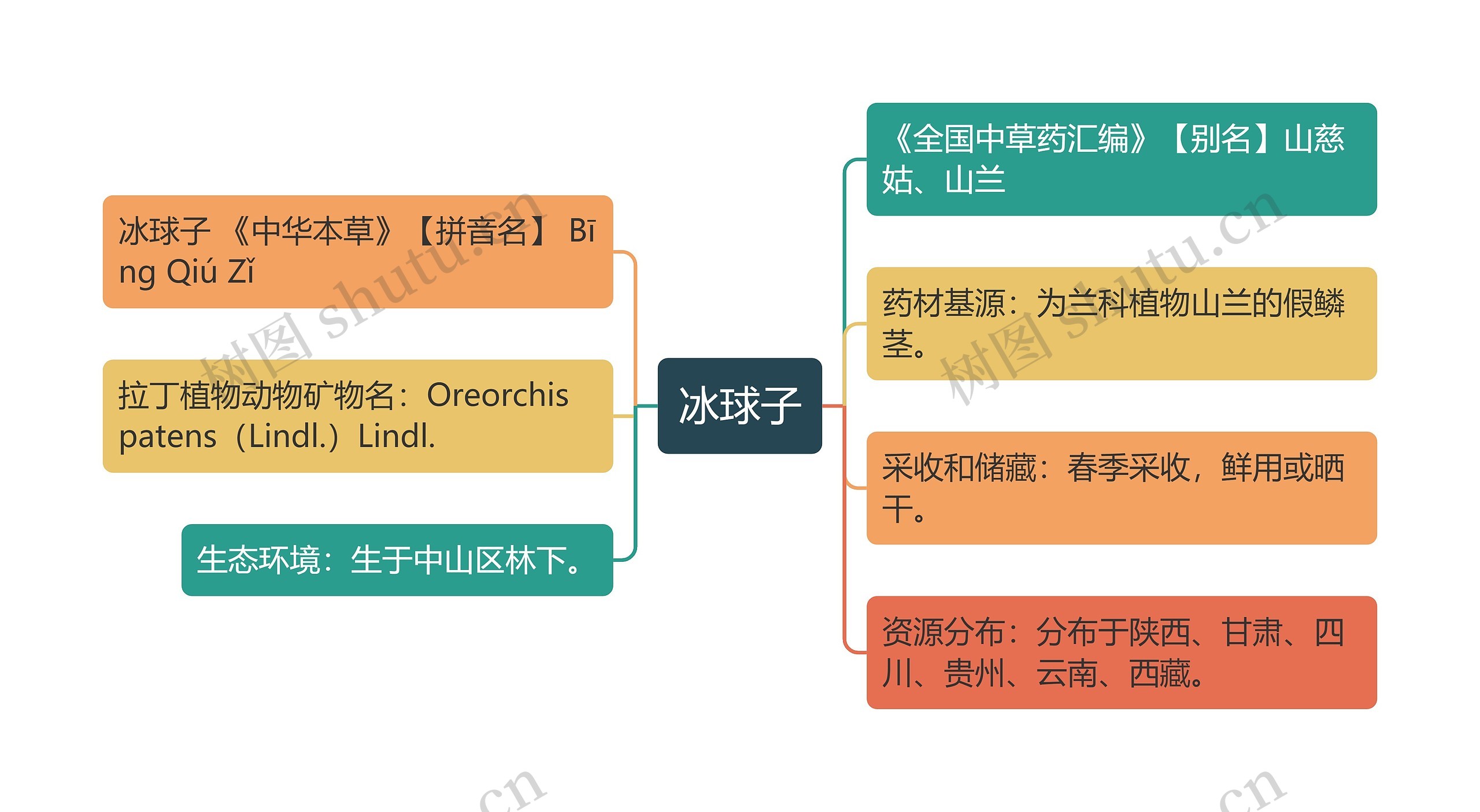 冰球子思维导图