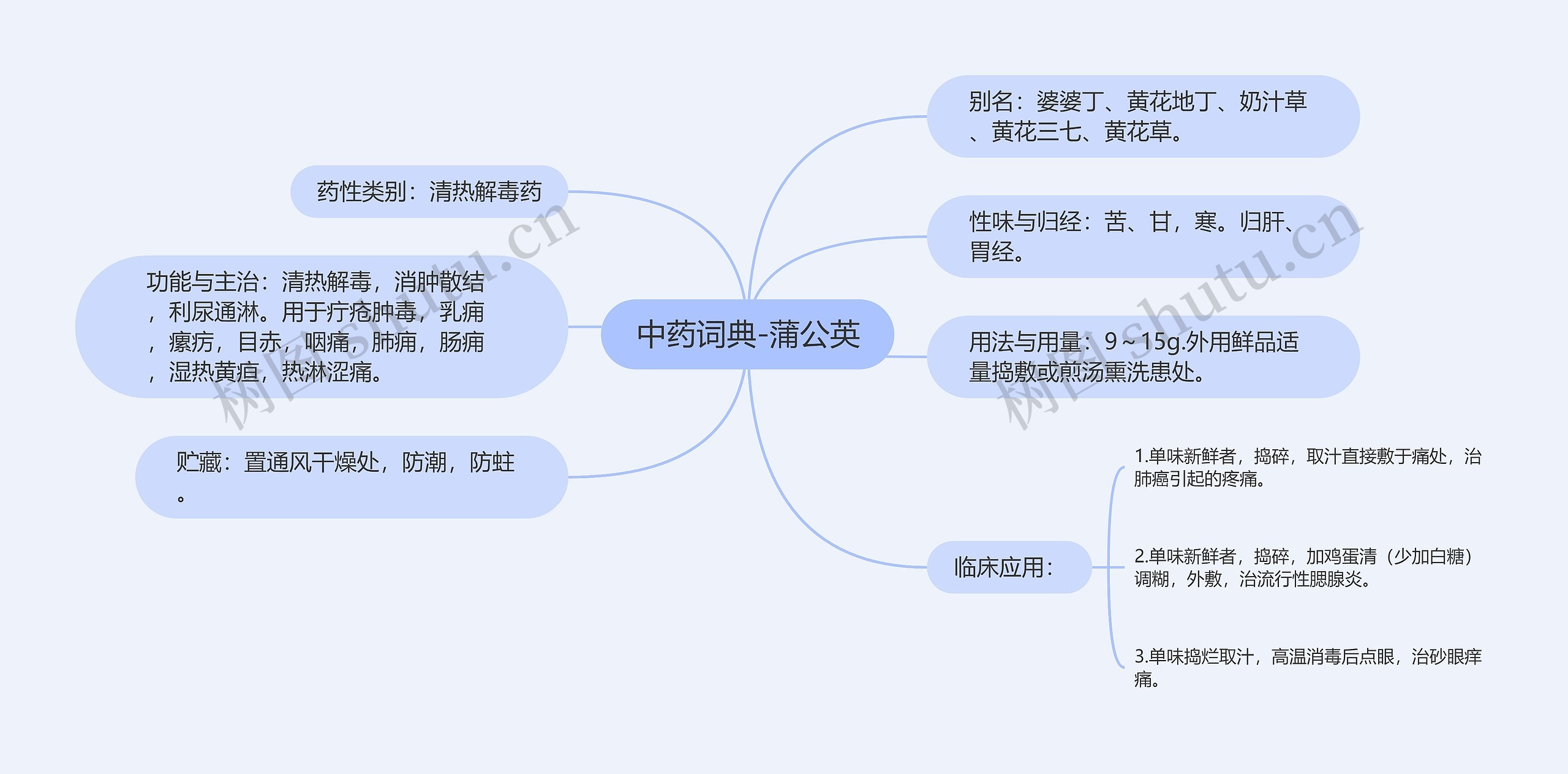 中药词典-蒲公英思维导图