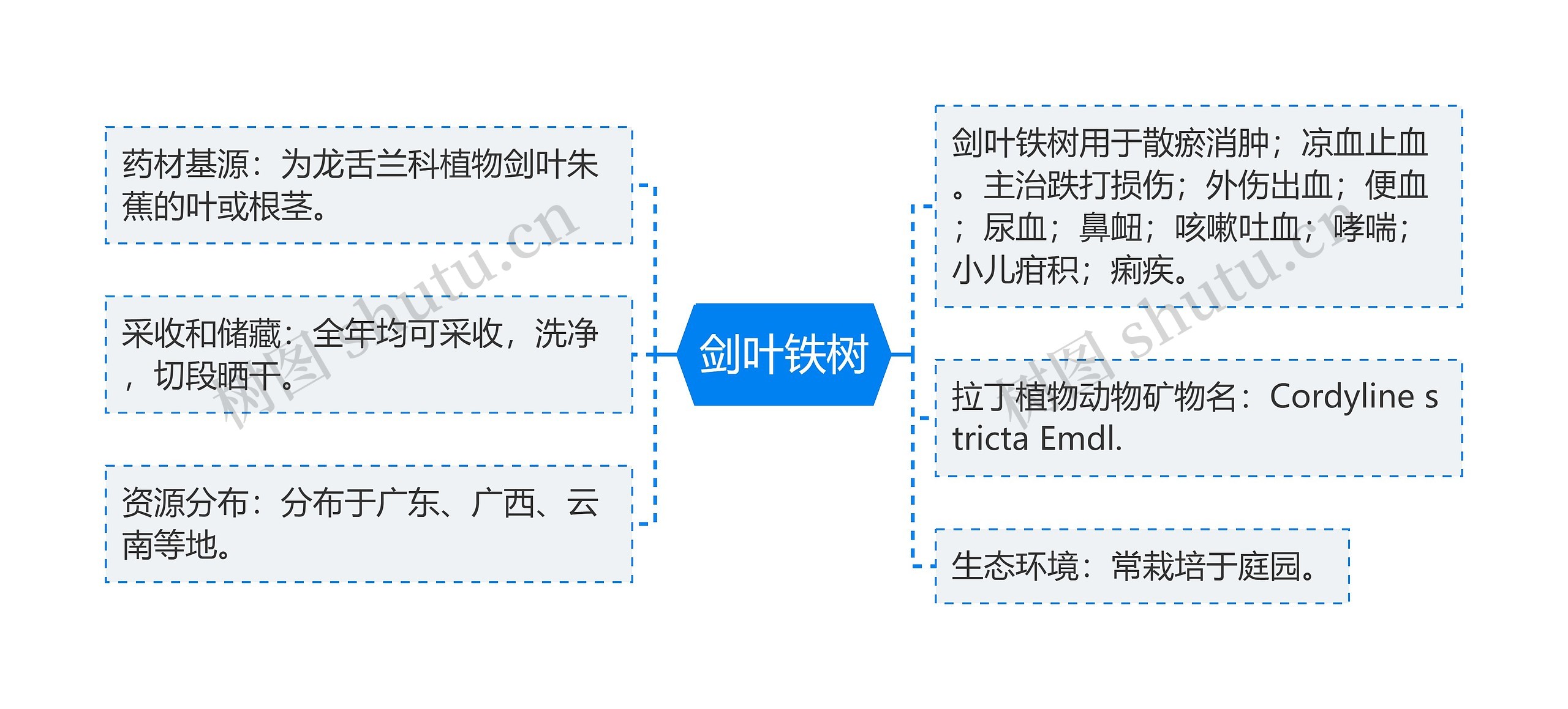 剑叶铁树思维导图