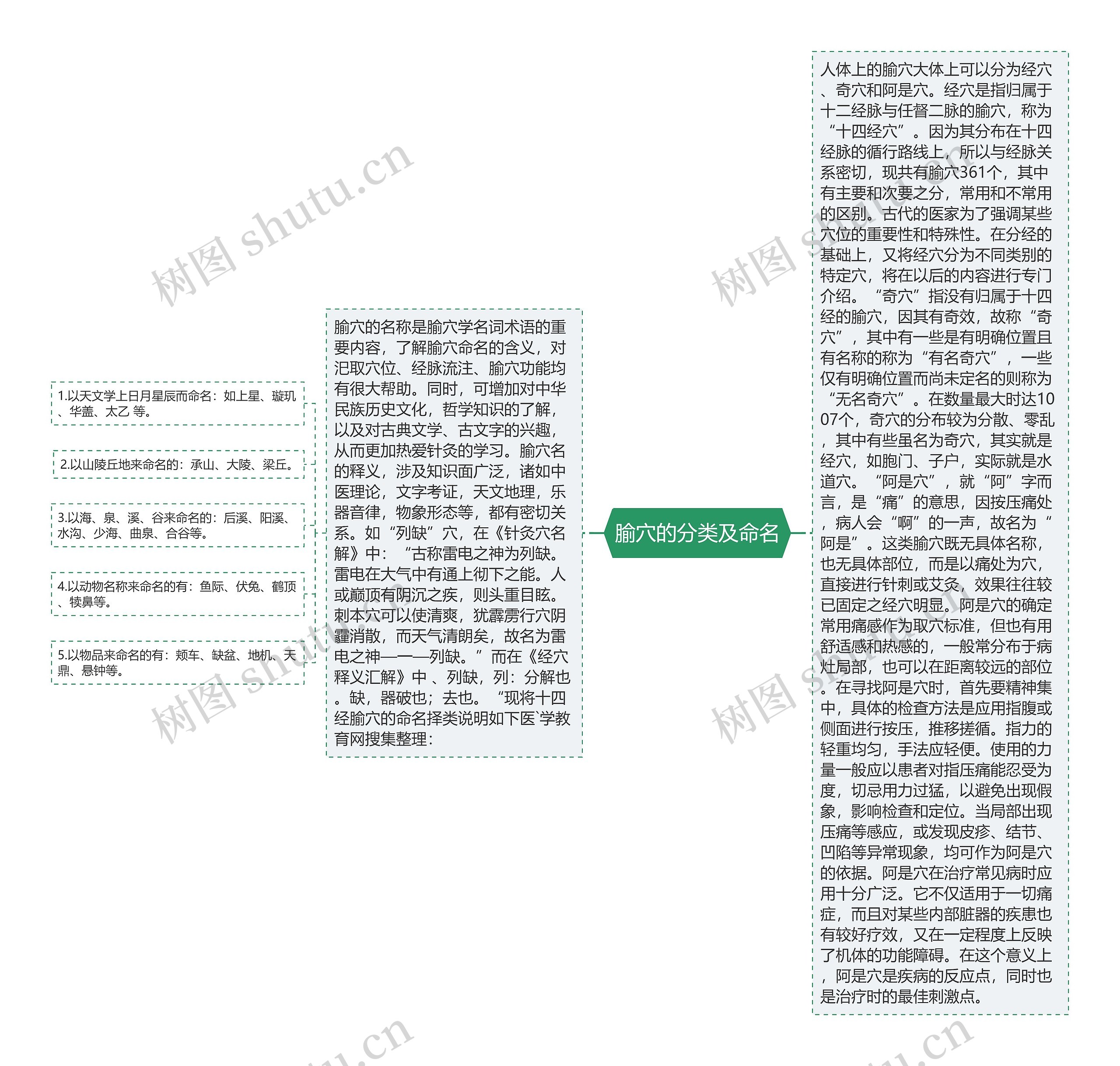 腧穴的分类及命名思维导图