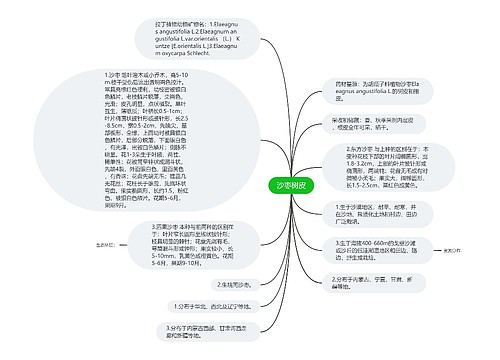 沙枣树皮