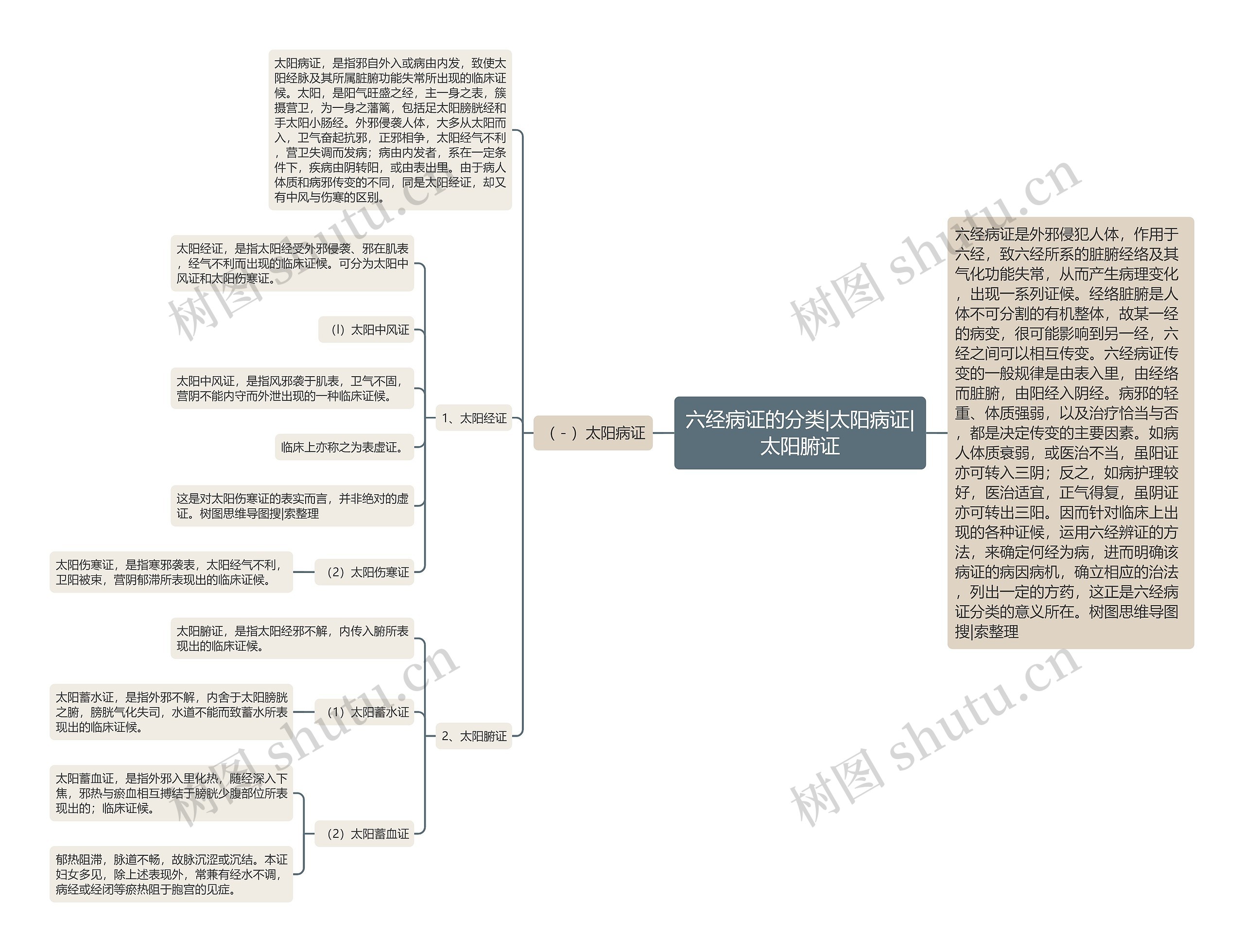 六经病证的分类|太阳病证|太阳腑证思维导图