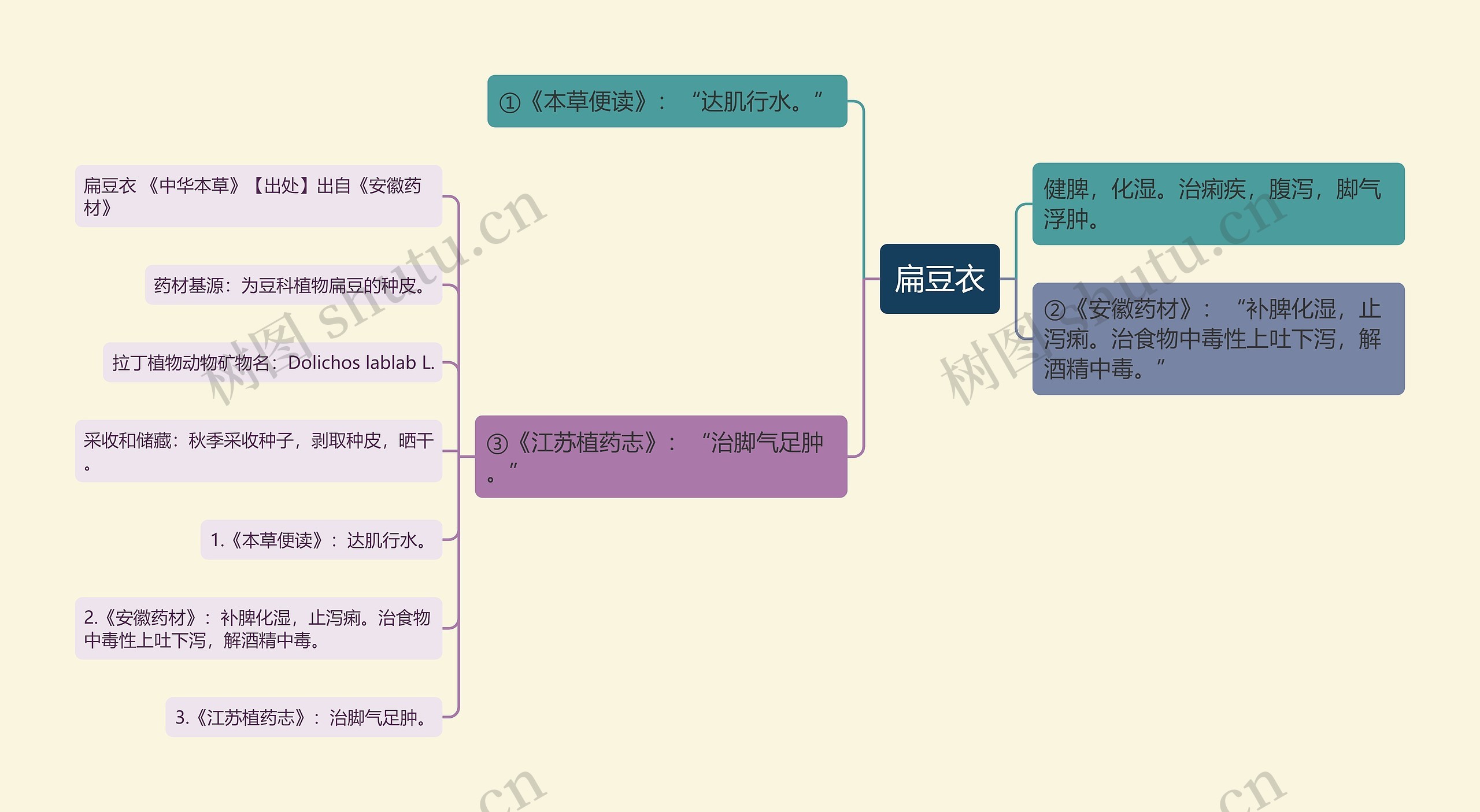 扁豆衣思维导图