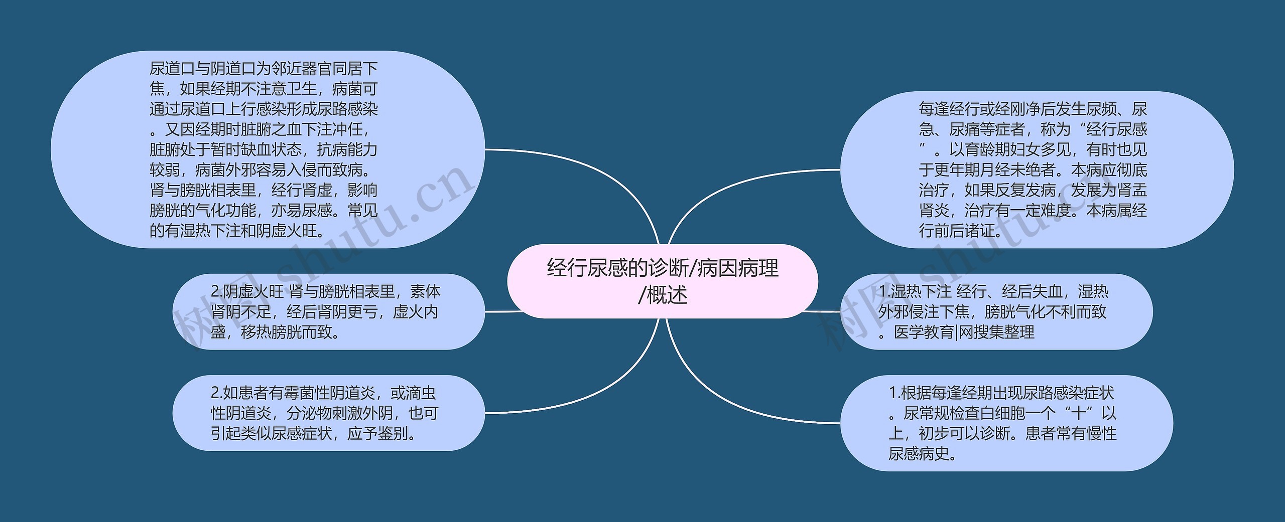 经行尿感的诊断/病因病理/概述