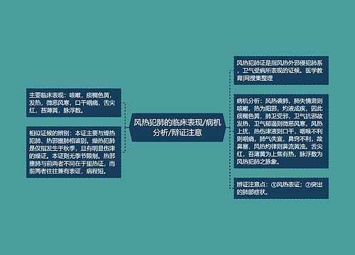 风热犯肺的临床表现/病机分析/辩证注意