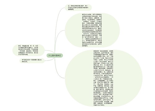 什么是中医辨证