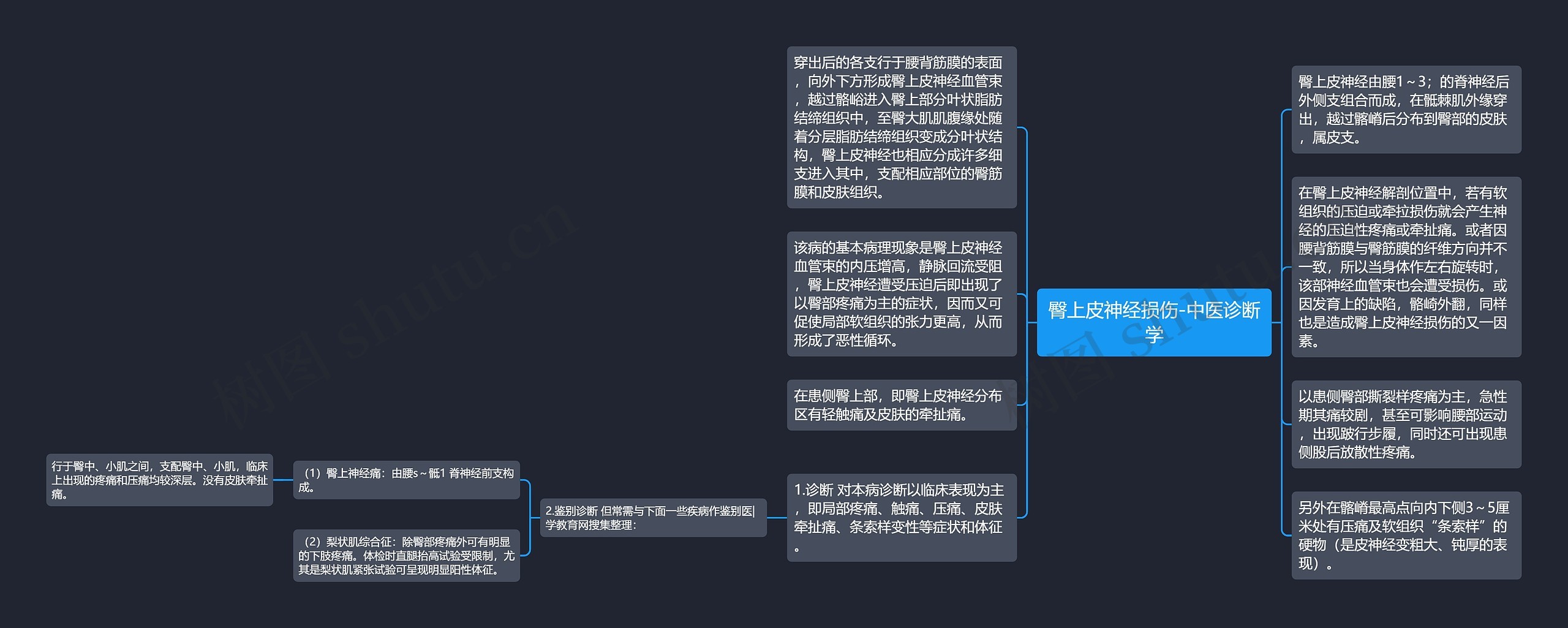 臀上皮神经损伤-中医诊断学