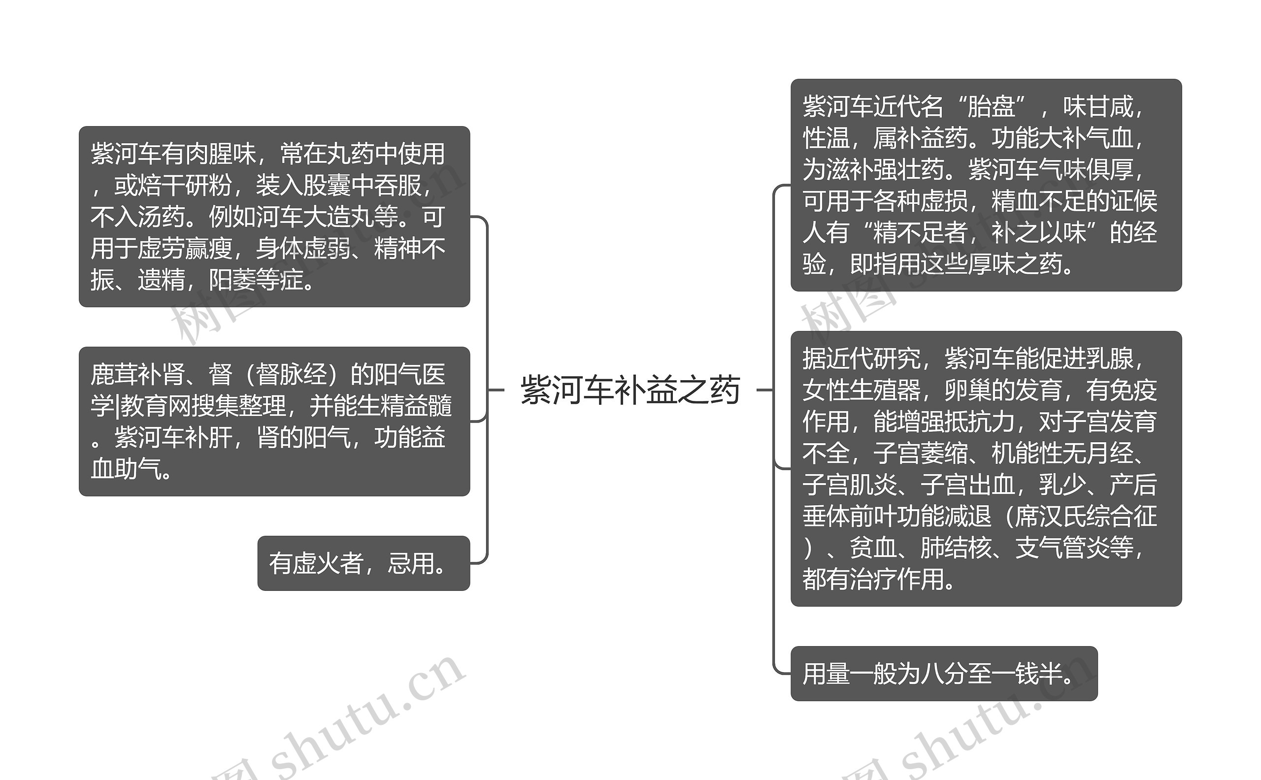 紫河车补益之药思维导图