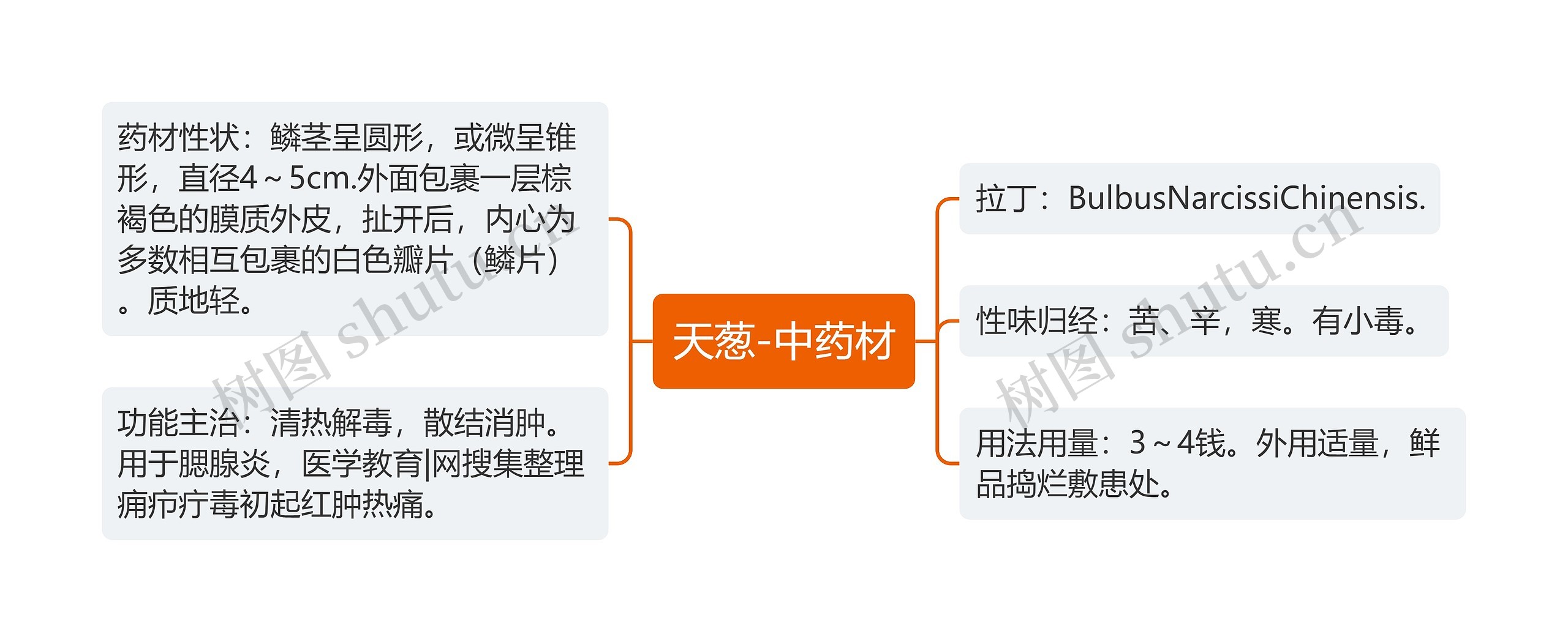 天葱-中药材思维导图