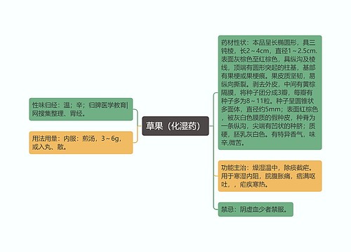 草果（化湿药）