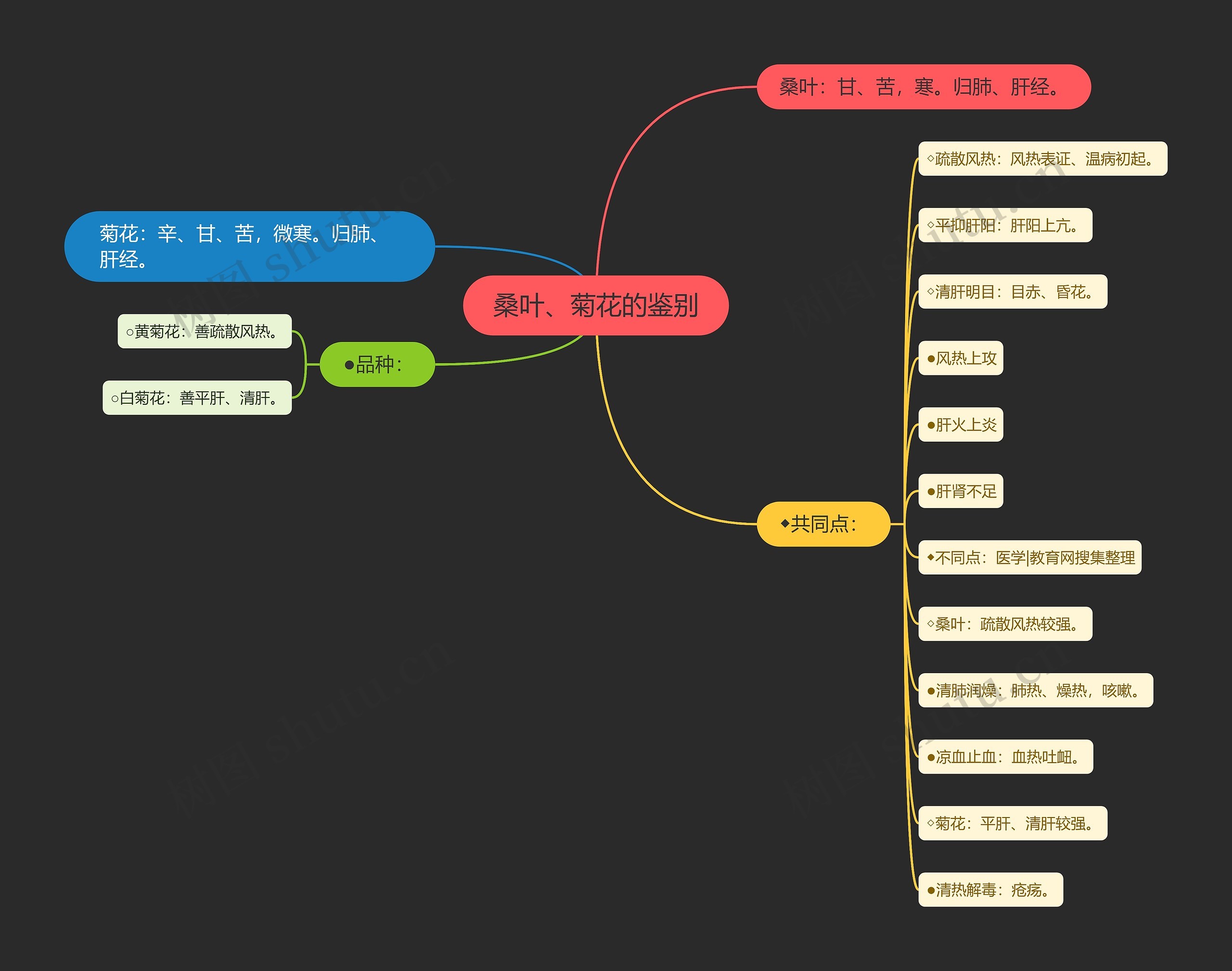 桑叶、菊花的鉴别思维导图