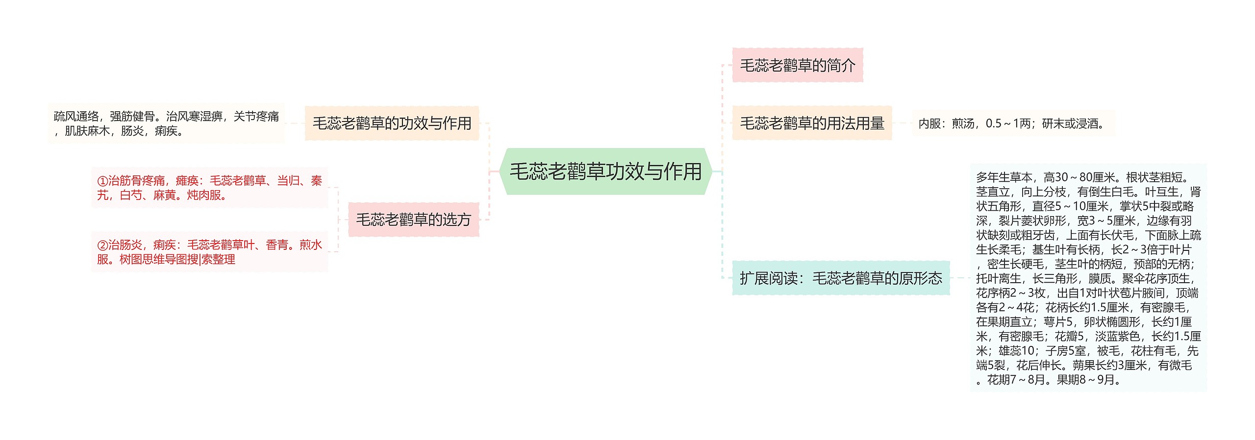 毛蕊老鹳草功效与作用思维导图