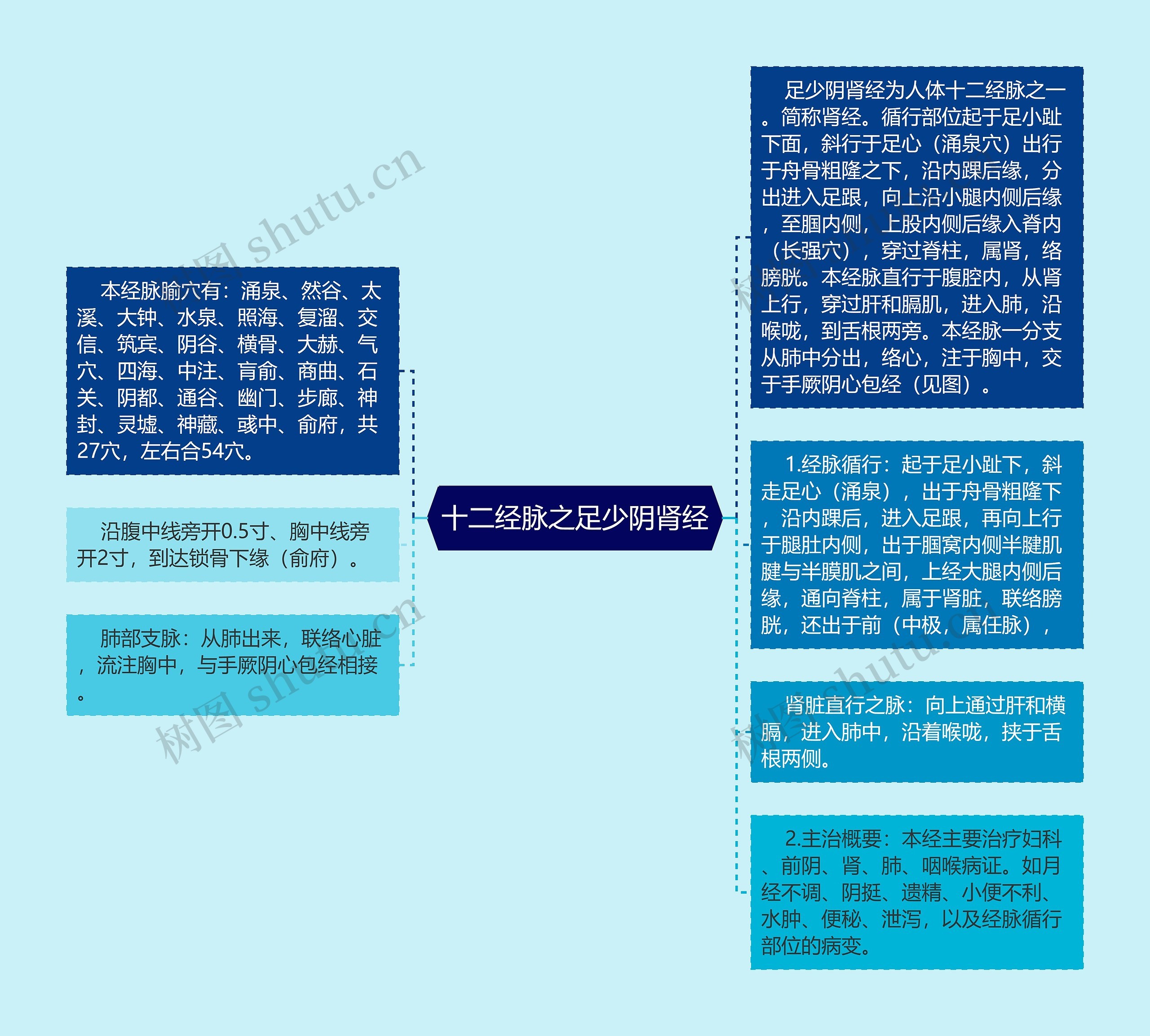 十二经脉之足少阴肾经思维导图