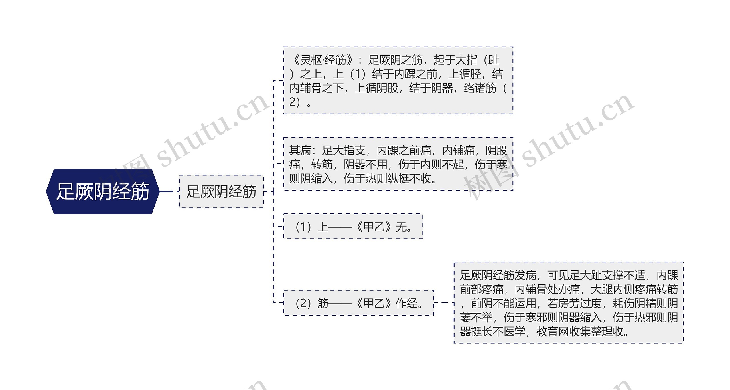 足厥阴经筋思维导图