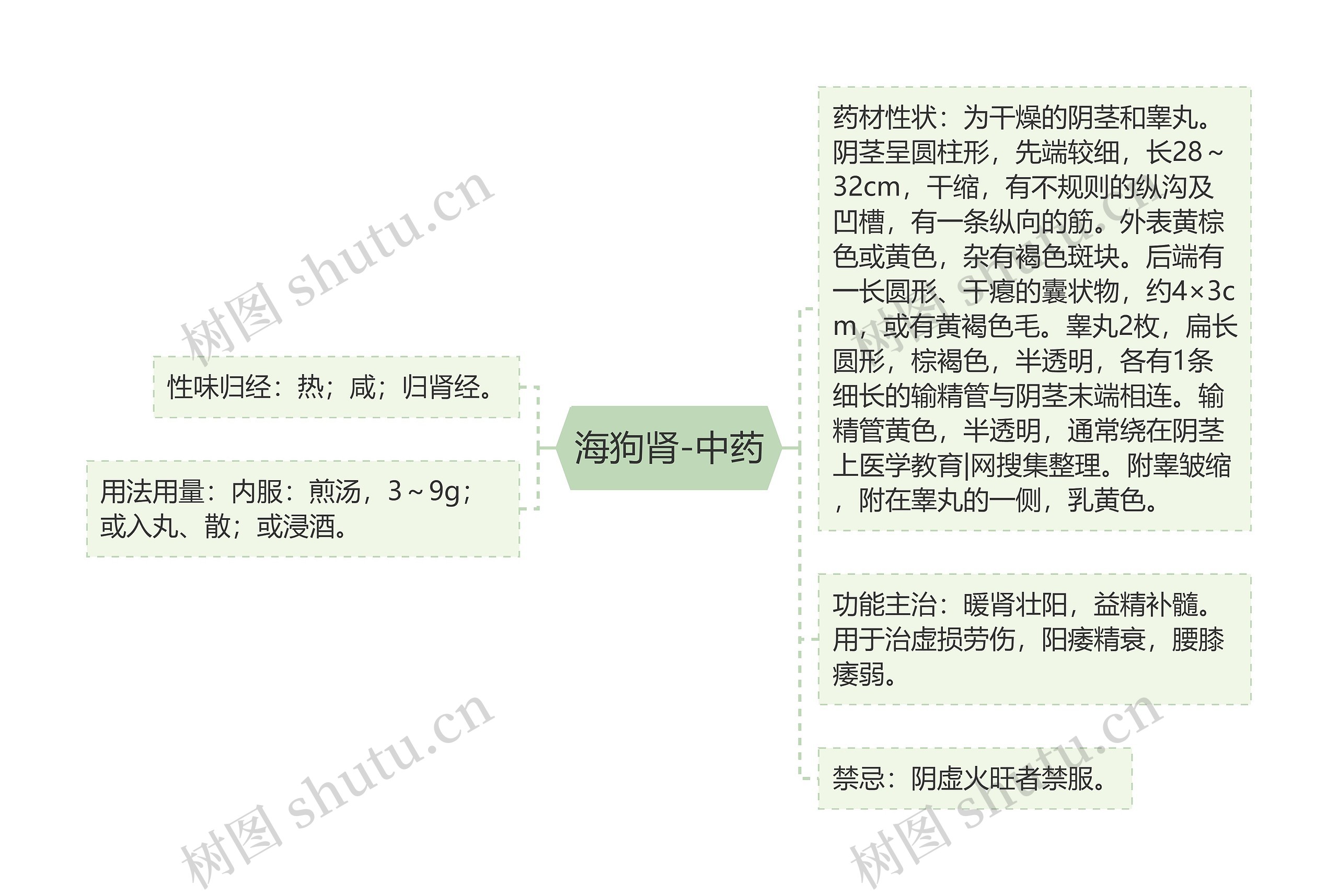 海狗肾-中药思维导图