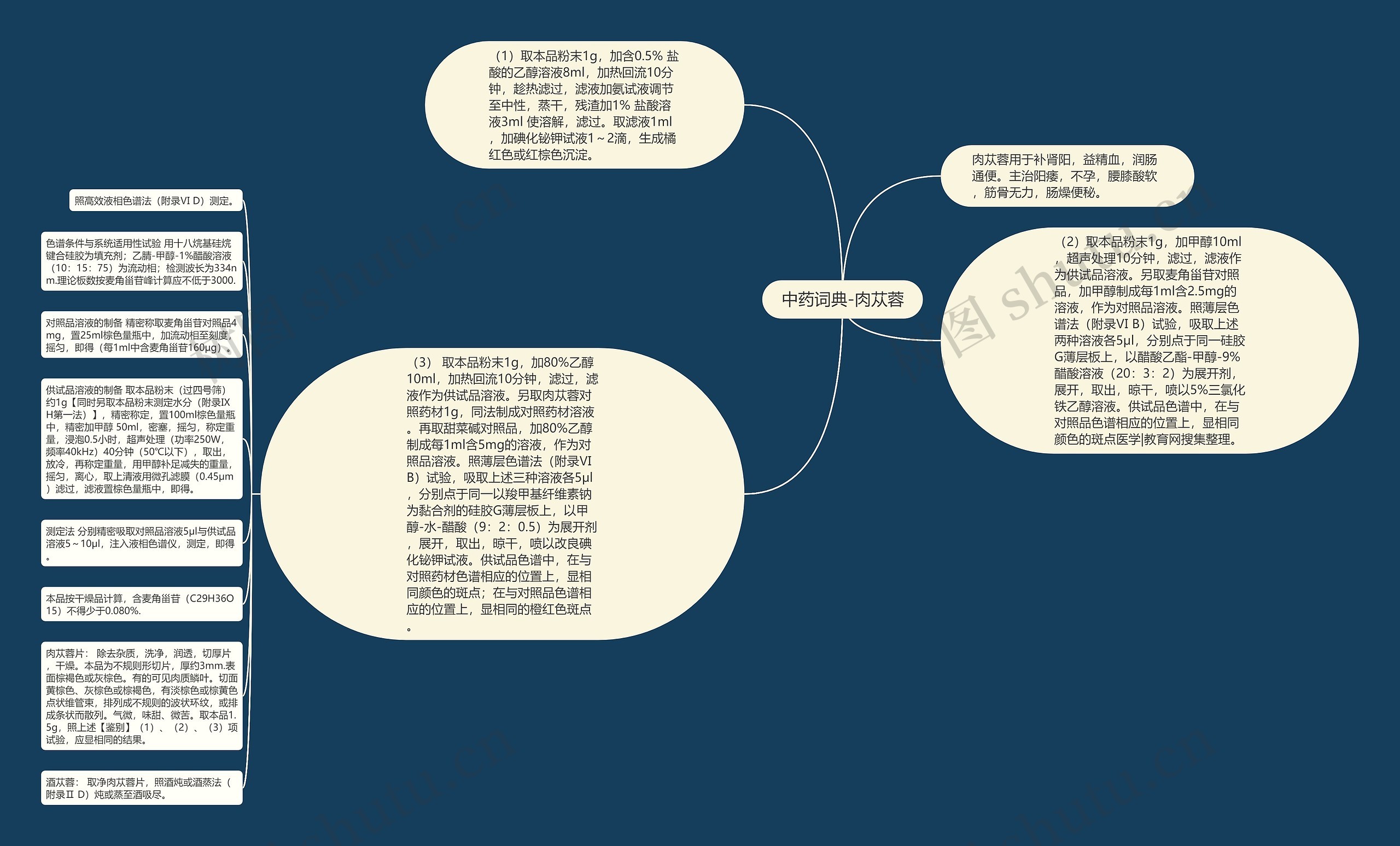 中药词典-肉苁蓉思维导图
