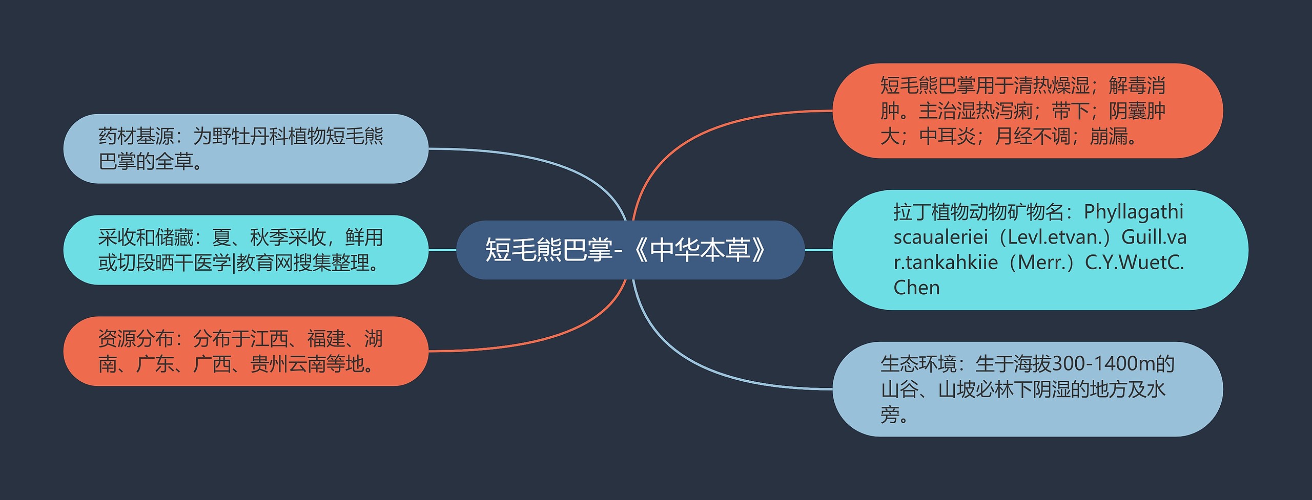 短毛熊巴掌-《中华本草》思维导图