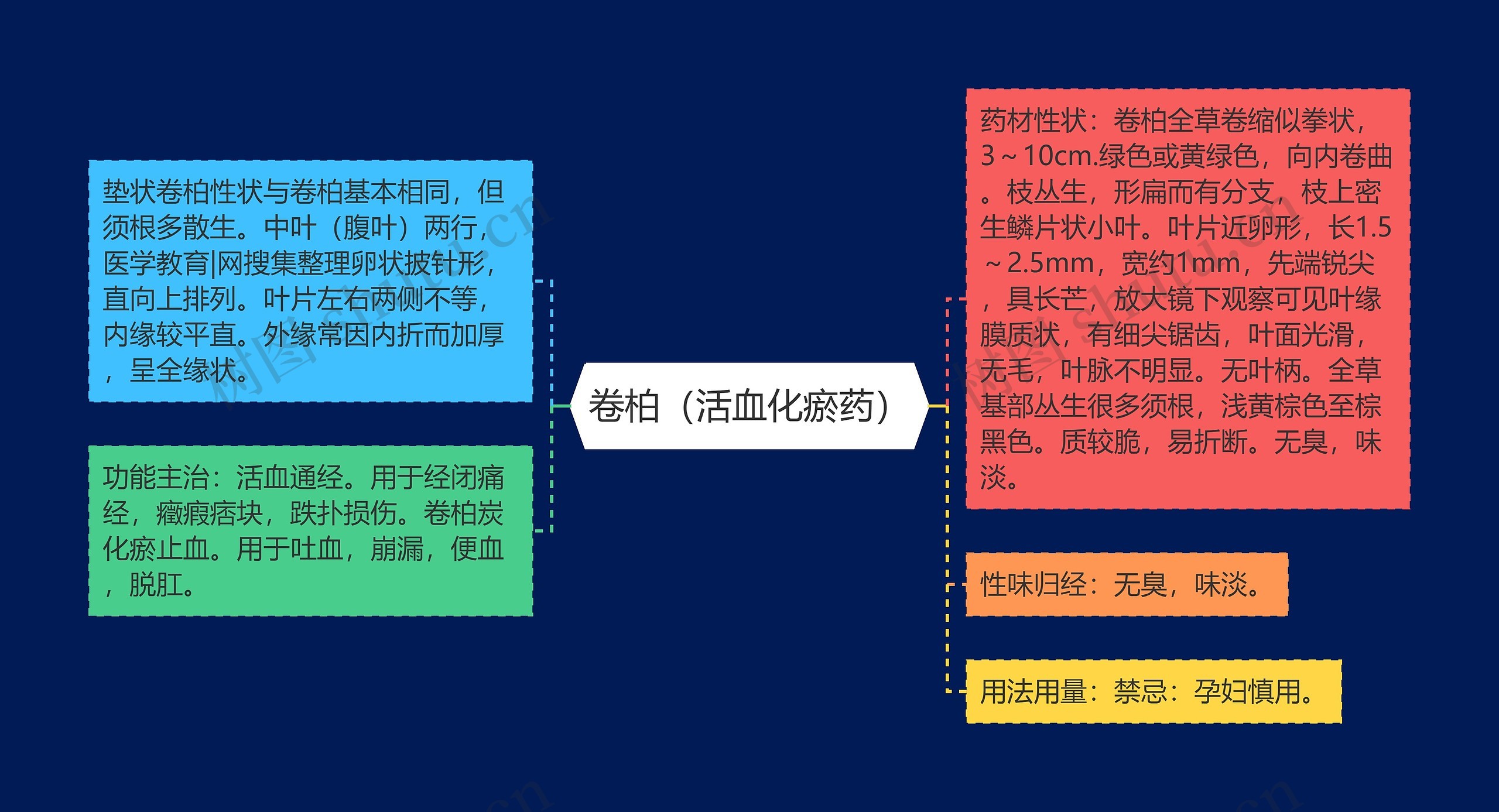 卷柏(活血化瘀药) 卷柏(活血化瘀药)