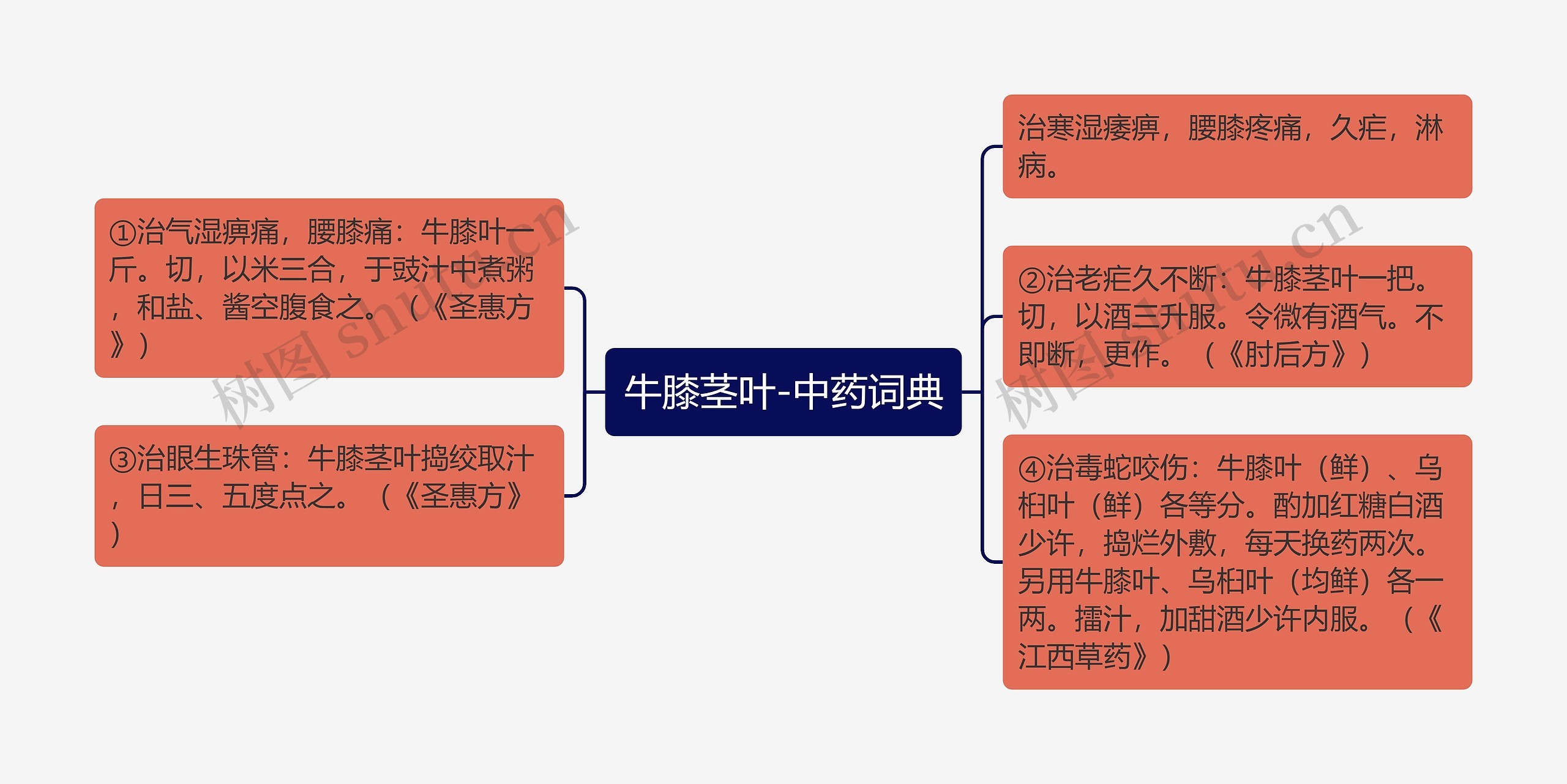 牛膝茎叶-中药词典