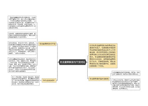 冬虫夏草鲜货与干货对比