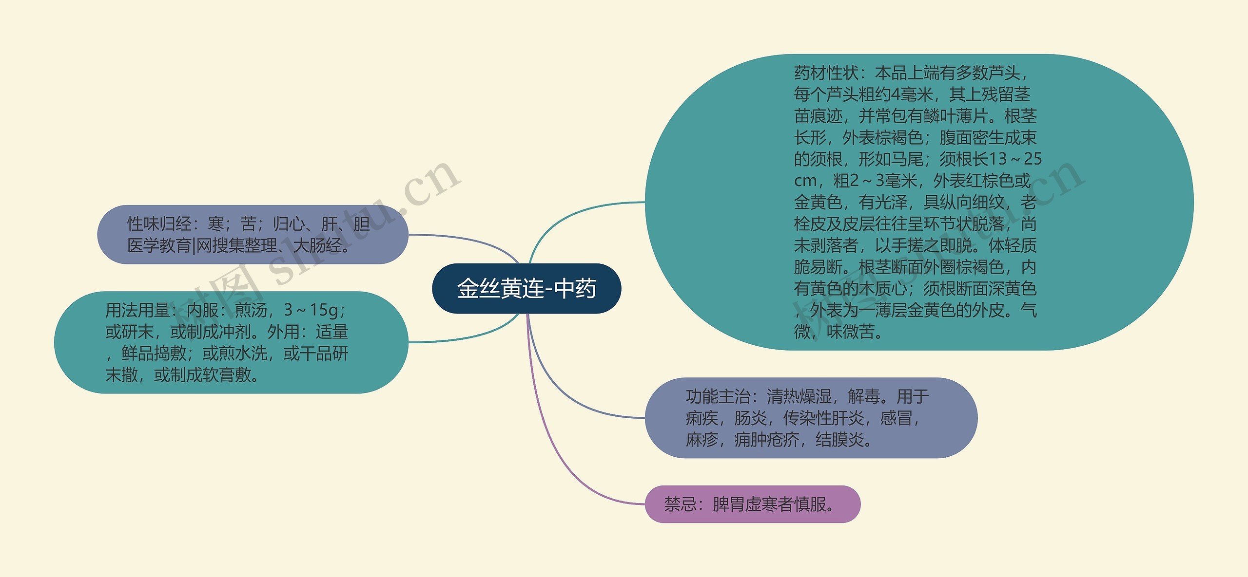 金丝黄连-中药 金丝黄连-中药