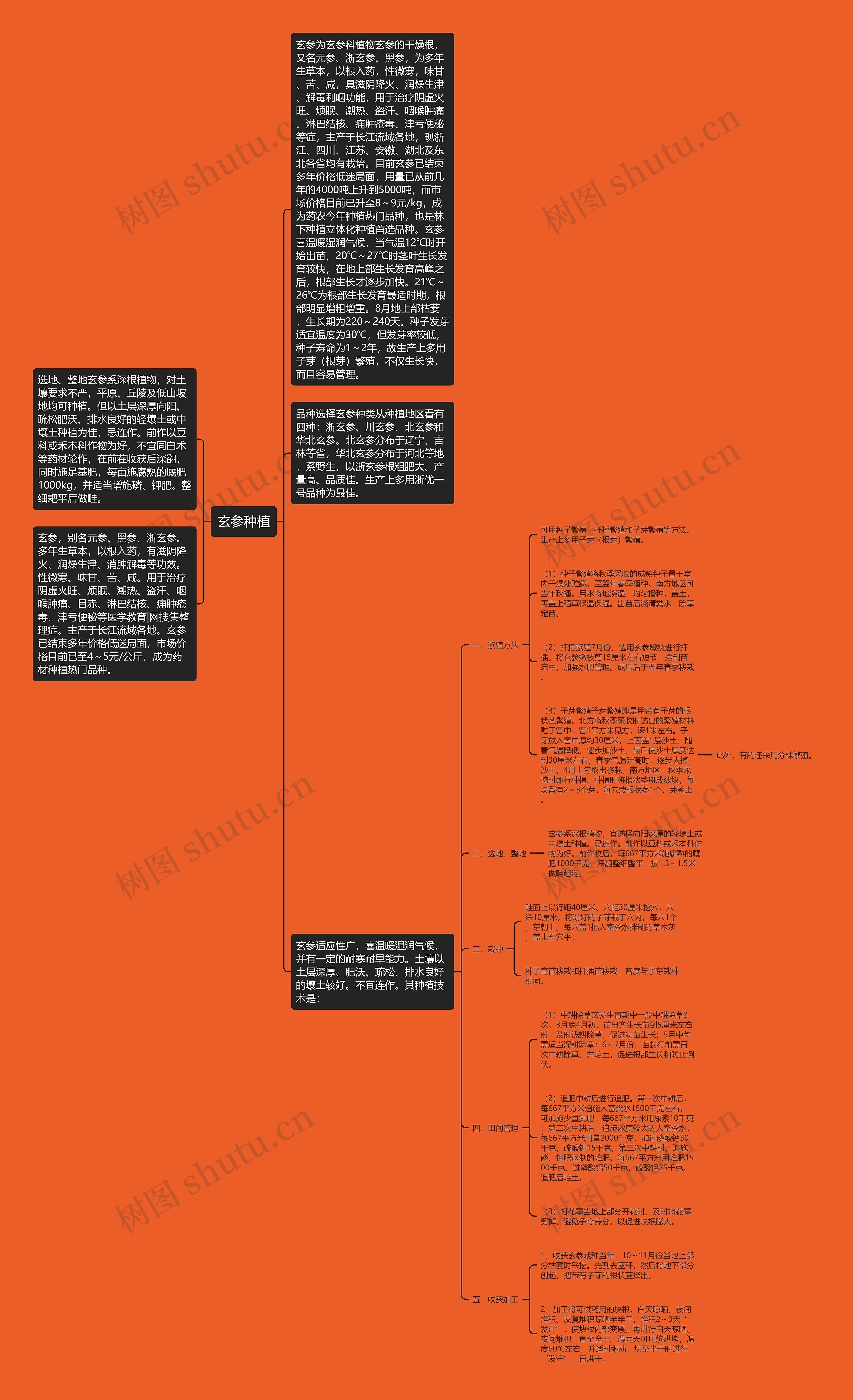 玄参种植思维导图