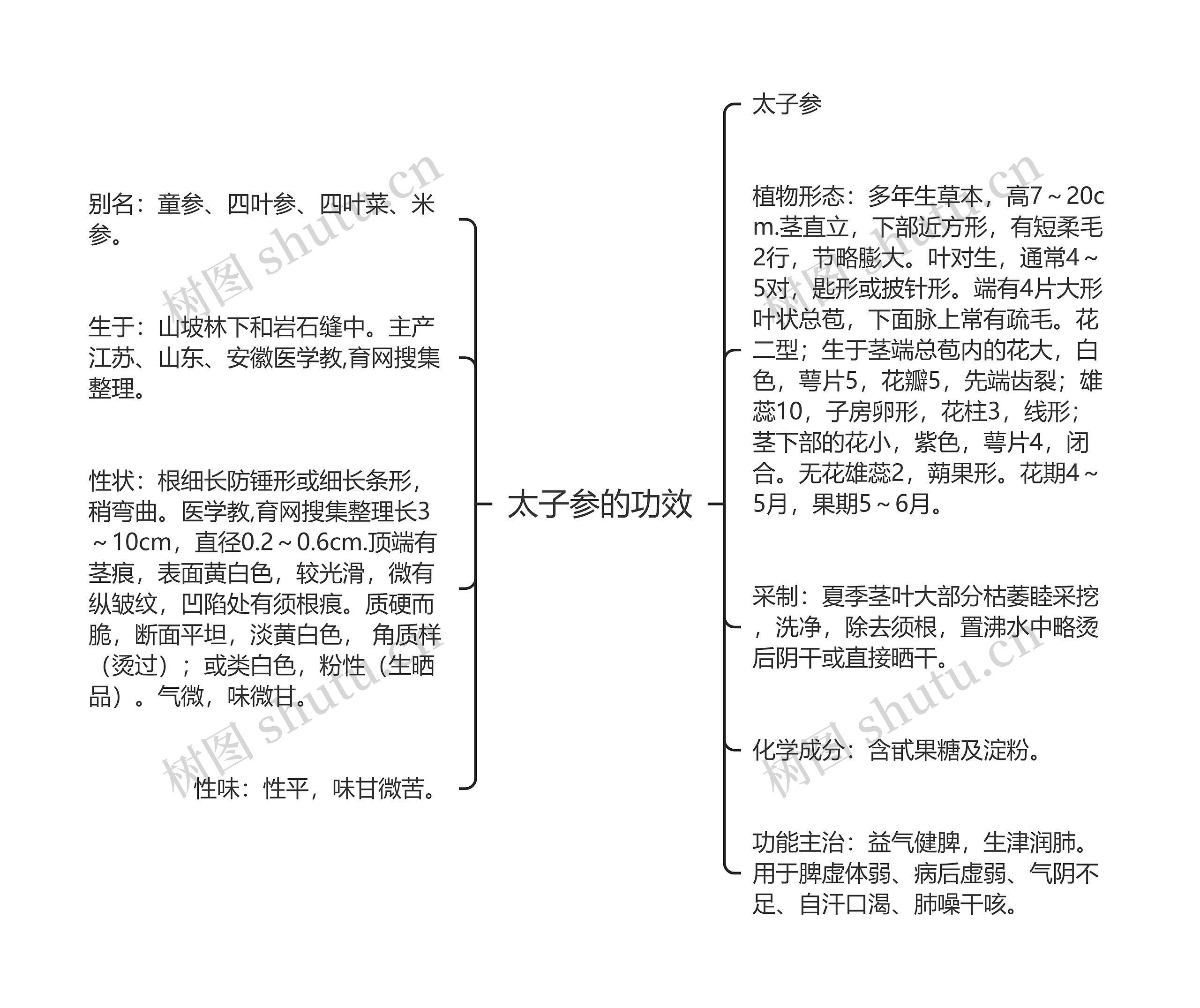 太子参的功效思维导图