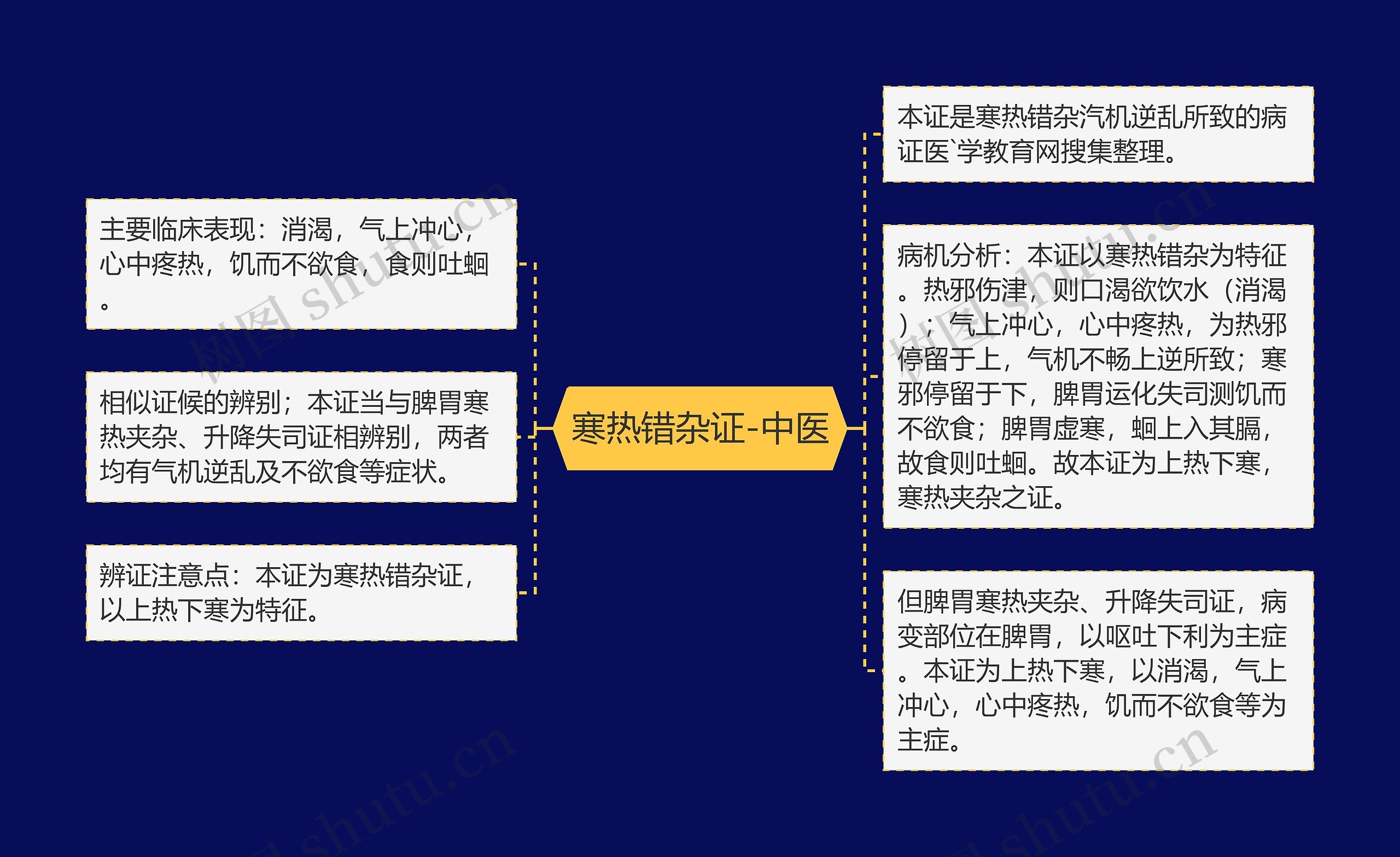 寒热错杂证-中医思维导图