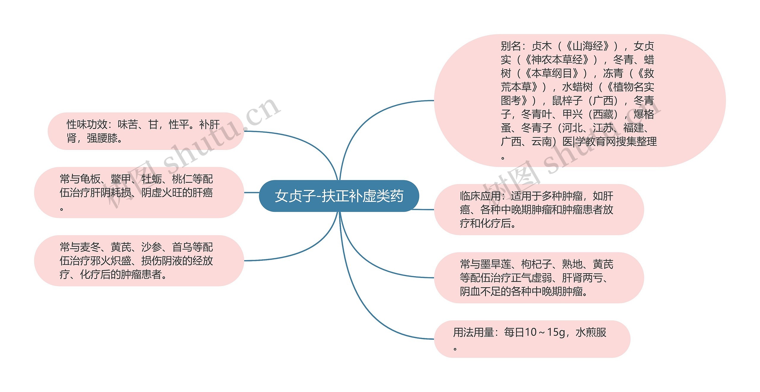 女贞子-扶正补虚类药思维导图