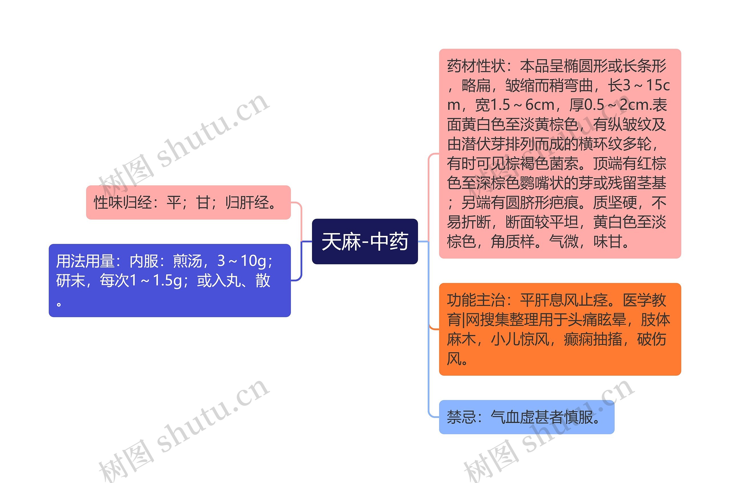 天麻-中药 天麻-中药